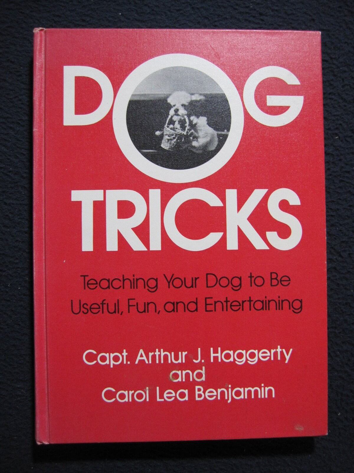 Dog Tricks used book depot