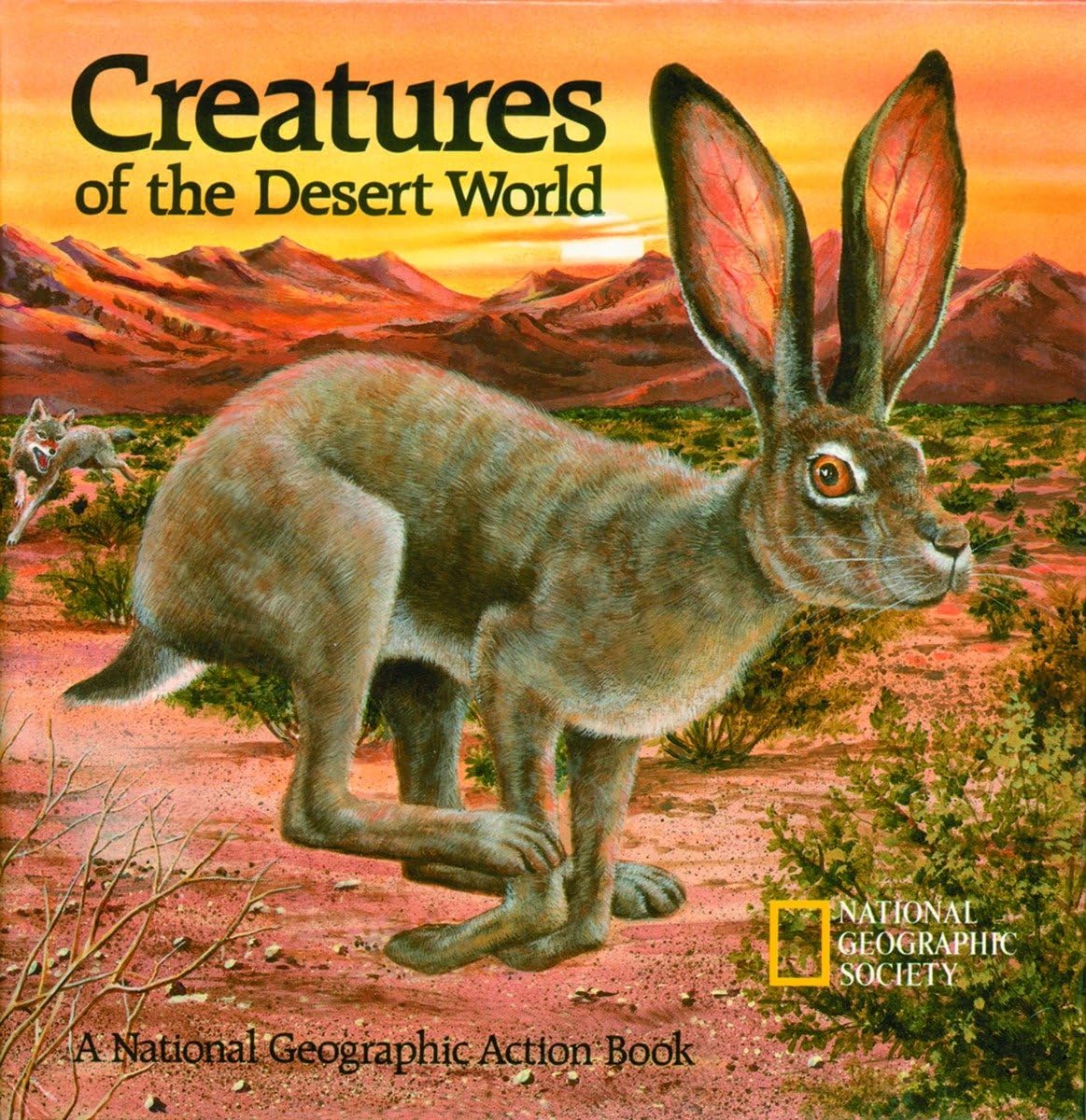 Creatures of the Desert World used book depot