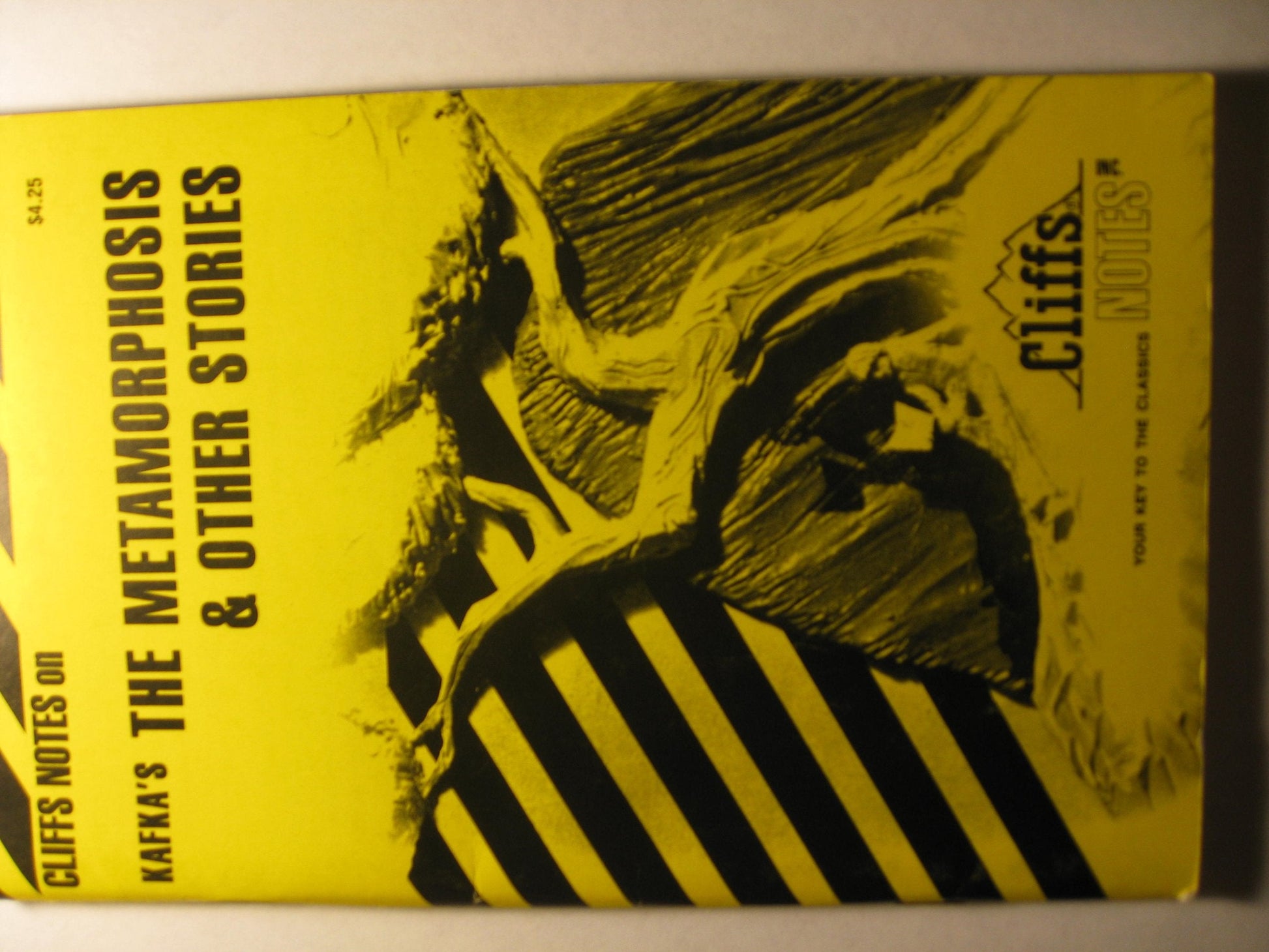 Cliffs Notes on Kafka's The Metamorphosis & Other Stories used book depot