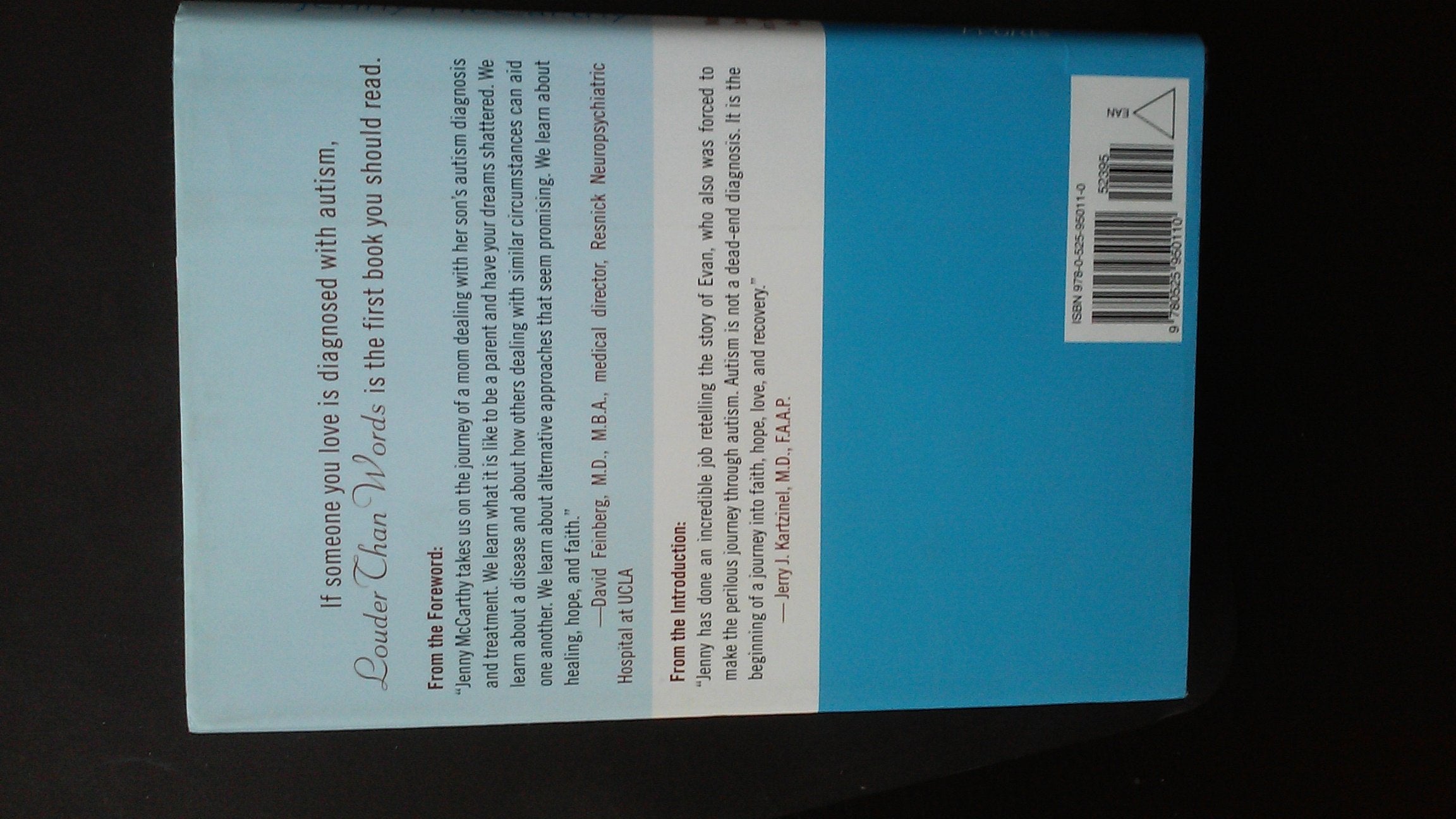 Louder Than Words: A Mother's Journey in Healing Autism used book depot