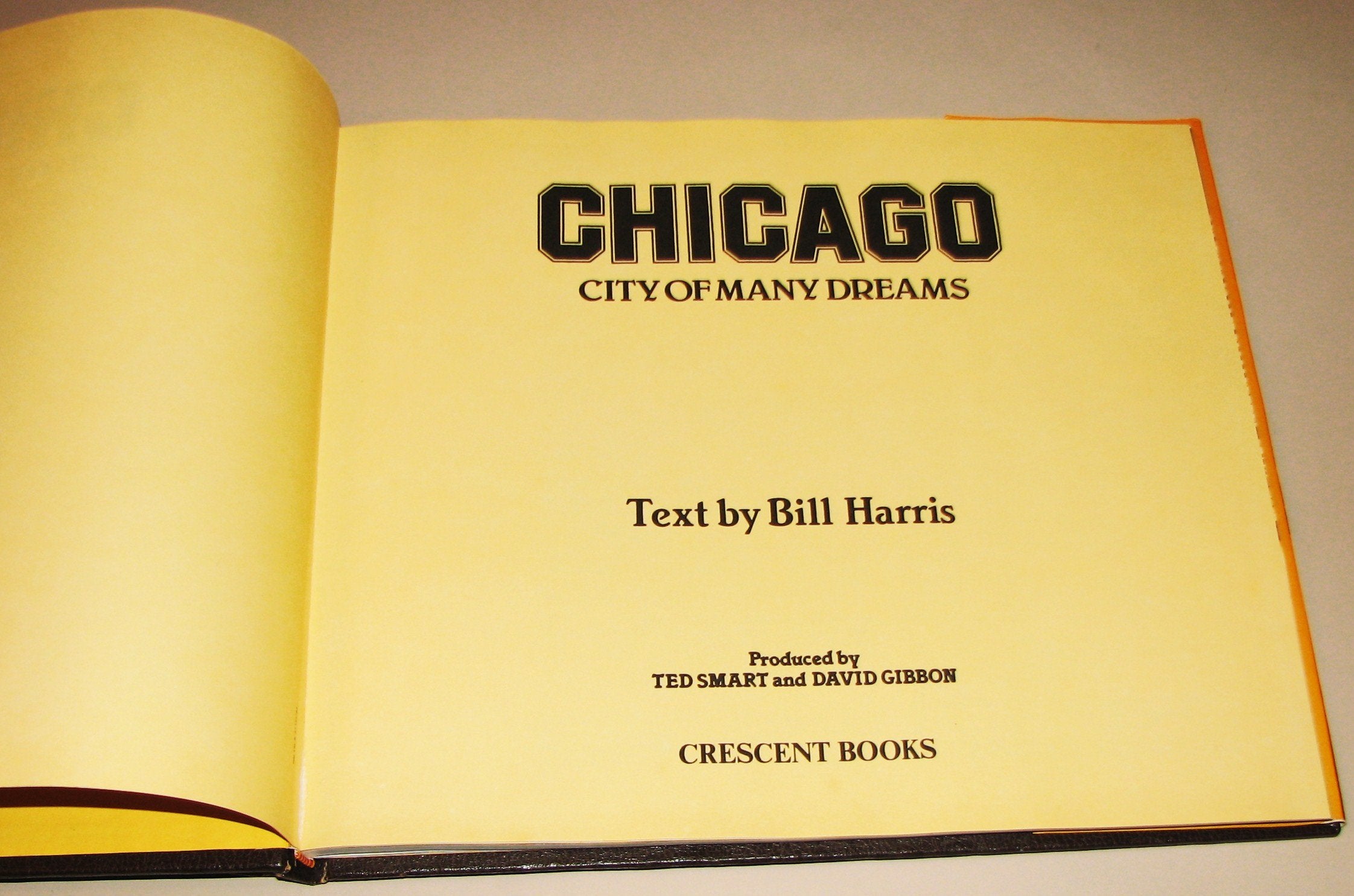 Chicago: City Of Many Dreams used book depot