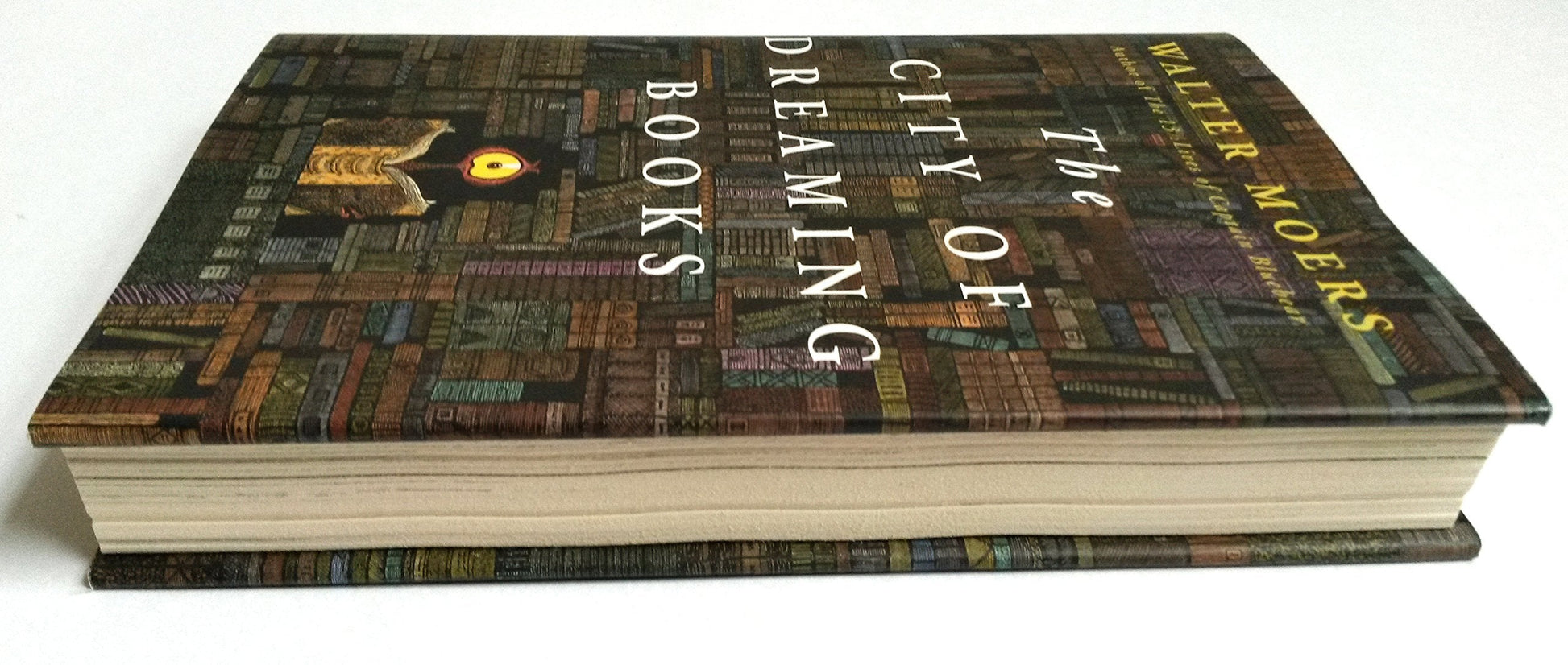 City of Dreaming Books (Zamonia) (Volume 3) used book depot