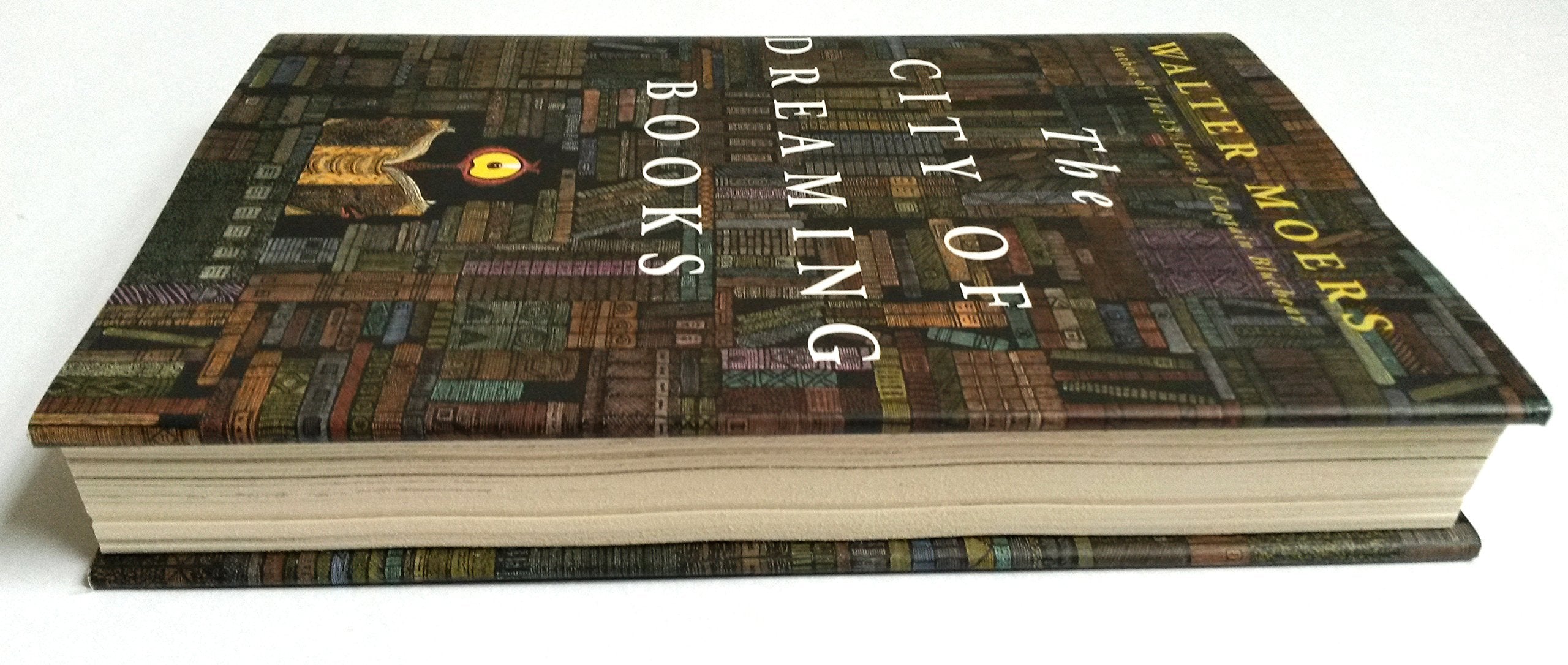 City of Dreaming Books (Zamonia) (Volume 3) used book depot