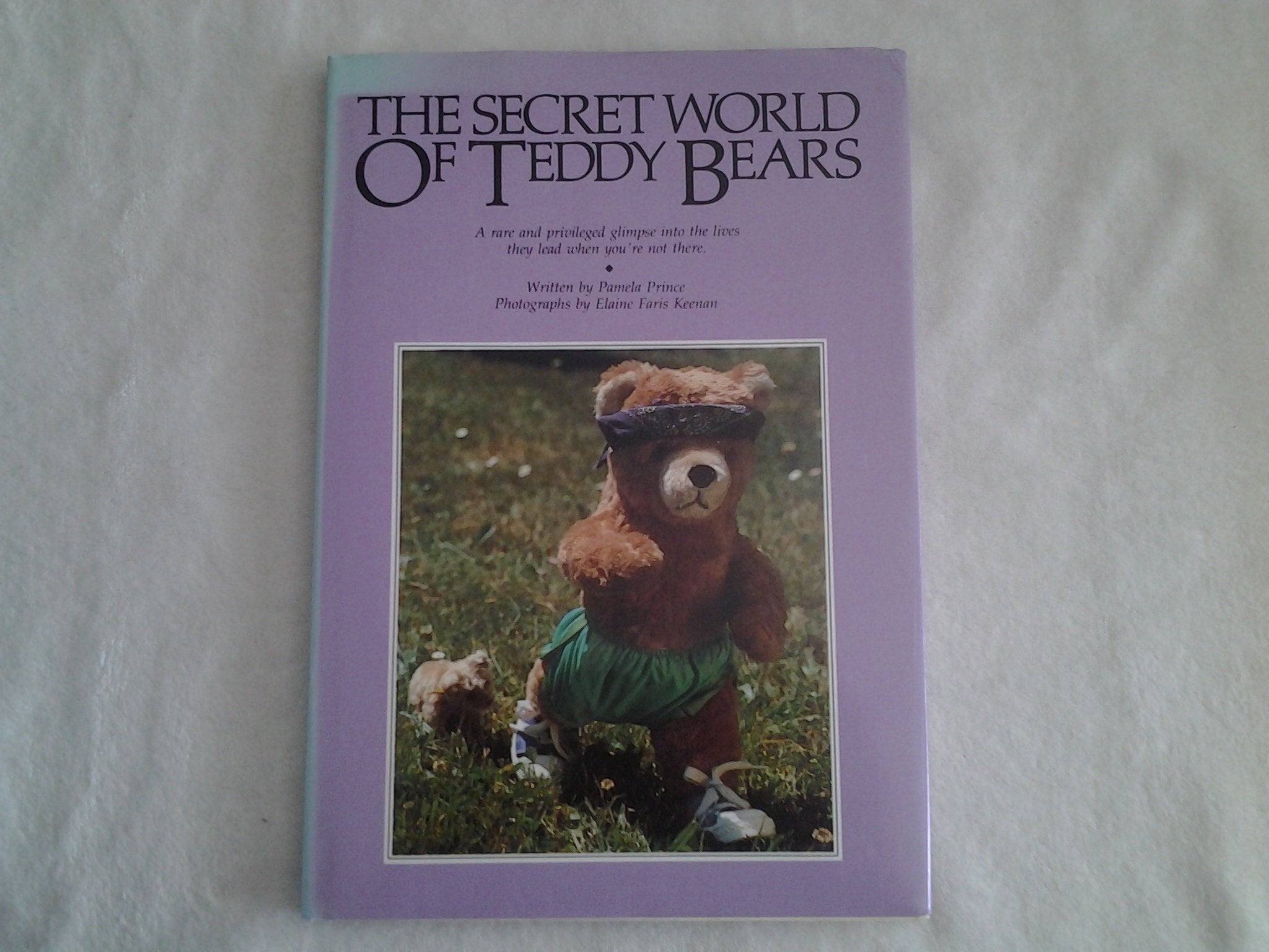 Secret World of Teddy Bears used book depot