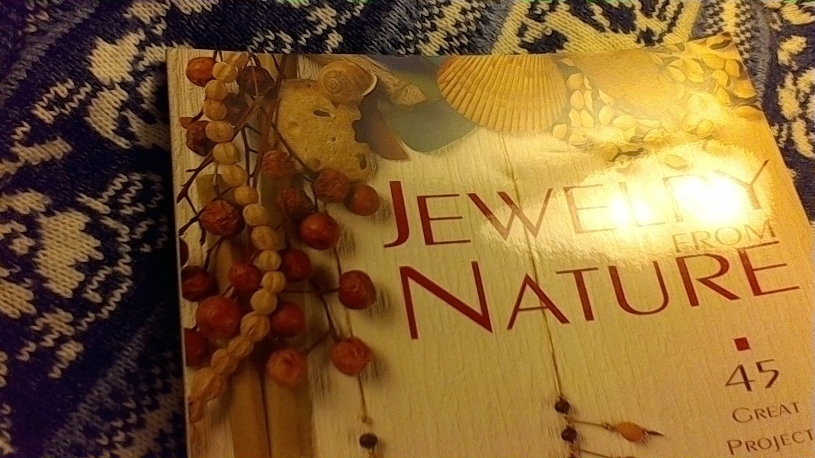Jewelry From Nature: 45 Great Projects Using Sticks & Stones, Seeds & Bones used book depot