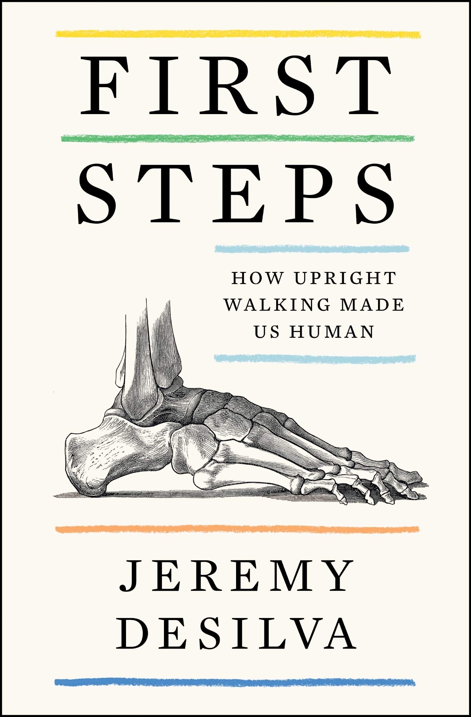 First Steps: How Upright Walking Made Us Human used book depot