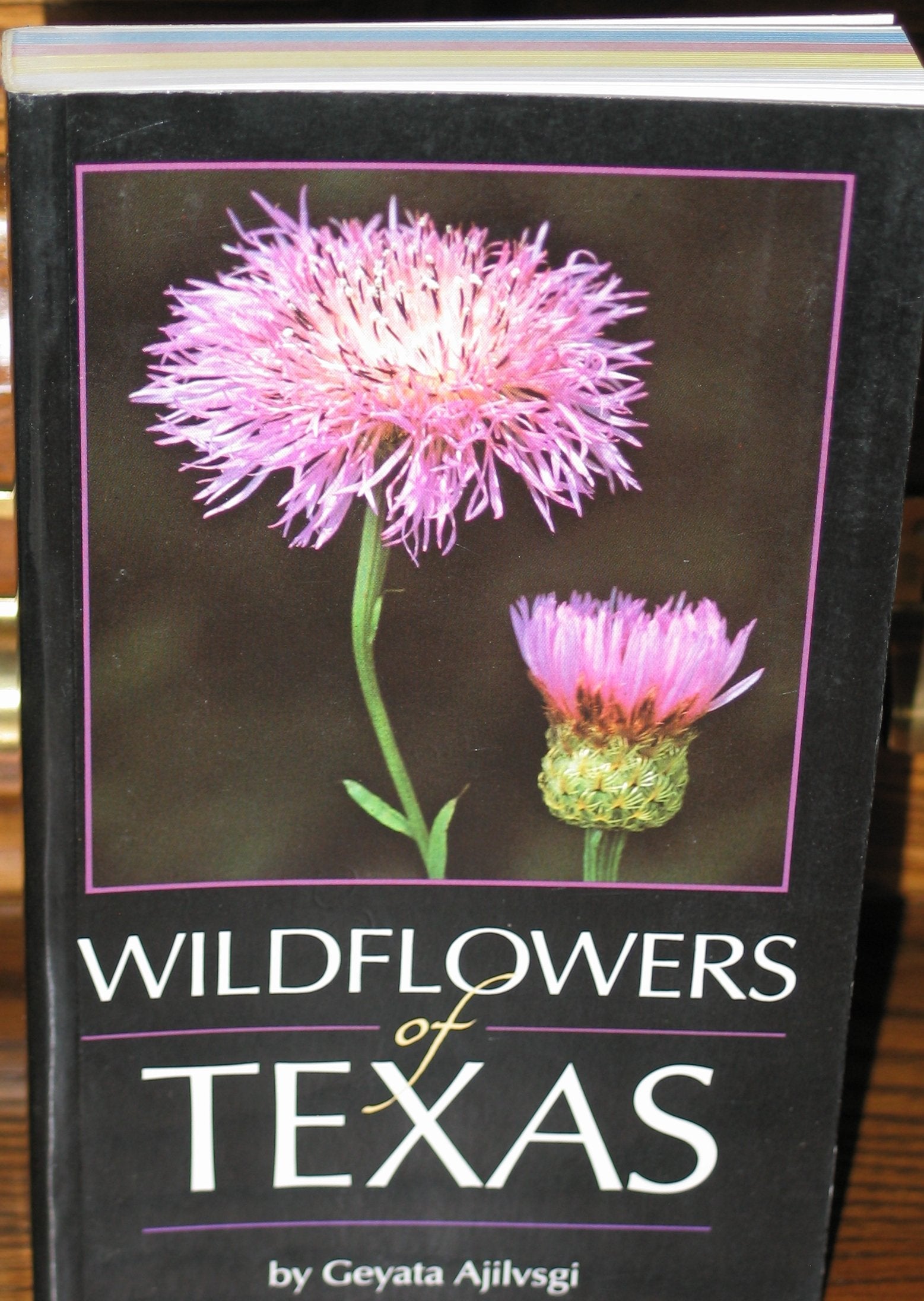 Wildflowers of Texas used book depot