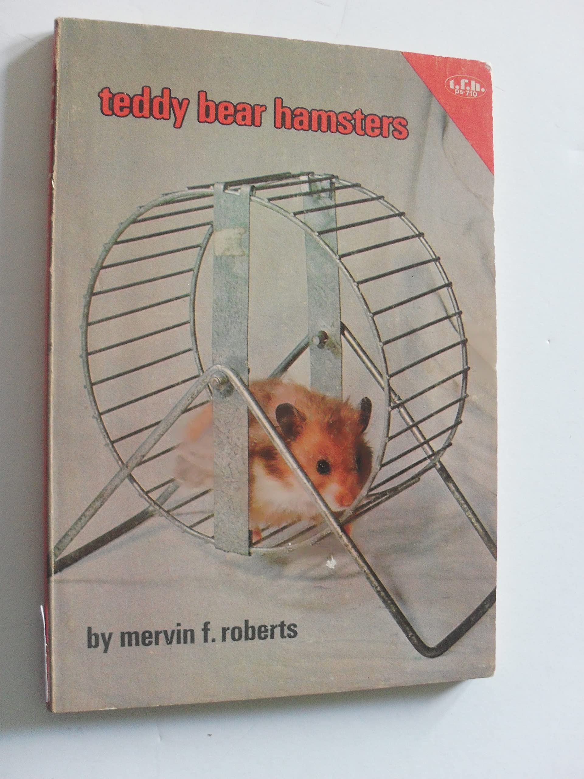 Teddy Bear Hamsters used book depot