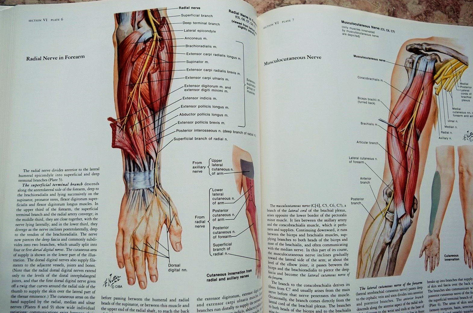 Nervous System, Part 1: Anatomy and Physiology (Ciba Collection of Medical Illustrations, Volume 1) used book depot