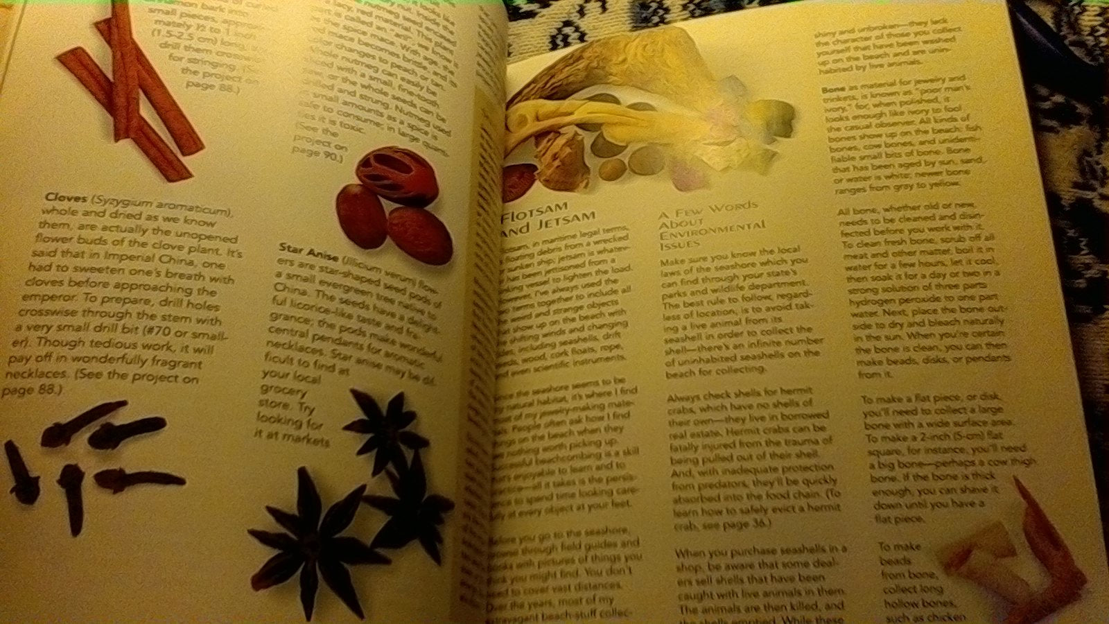 Jewelry From Nature: 45 Great Projects Using Sticks & Stones, Seeds & Bones used book depot