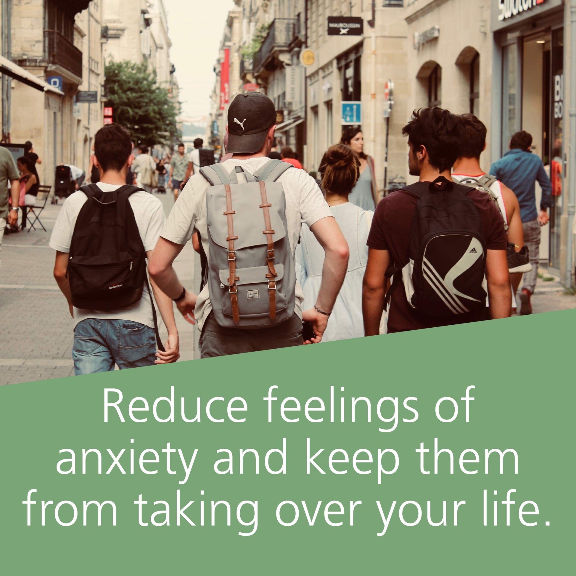 The Anxiety Workbook for Teens: Activities to Help You Deal with Anxiety and Worry used book depot