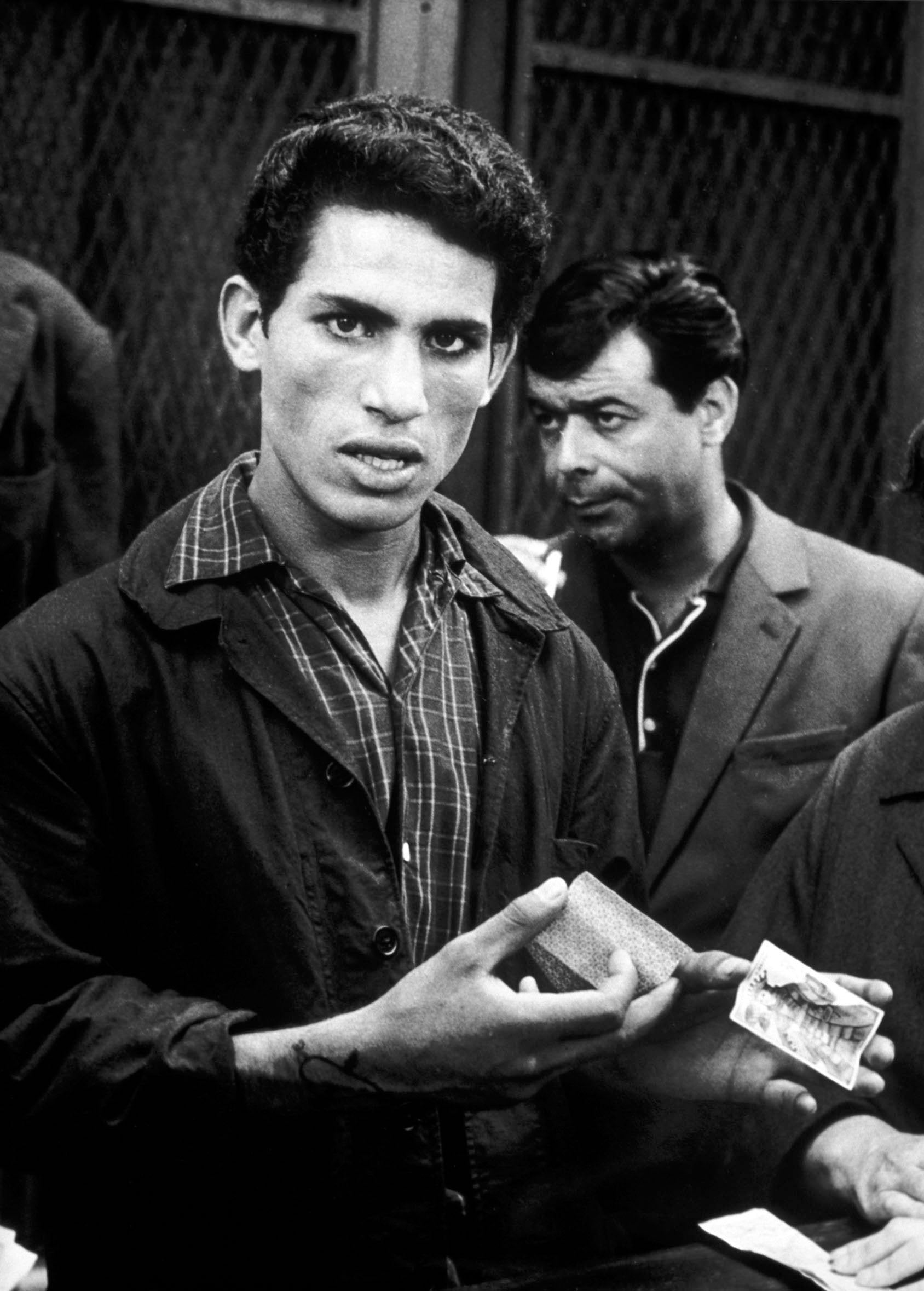 The Battle of Algiers: The Criterion Collection [Blu-ray] used book depot