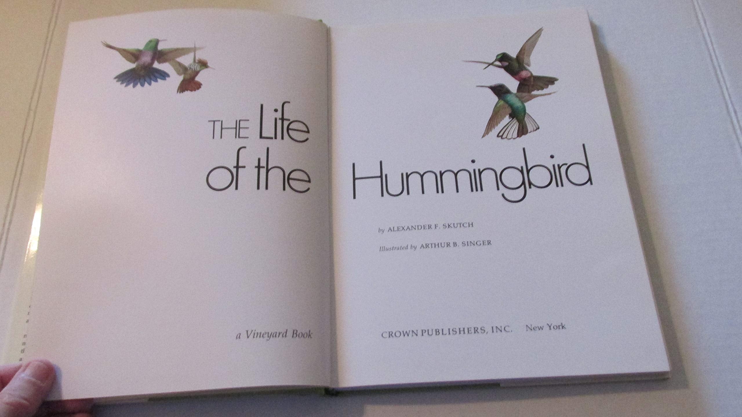 The Life of The Hummingbird used book depot