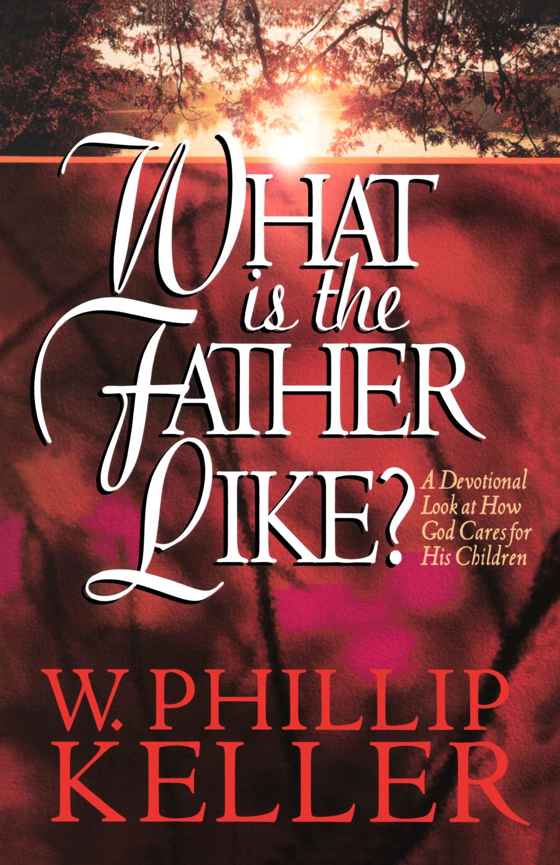 What Is the Father Like?: A Devotional Look at How God Cares for His Children used book depot