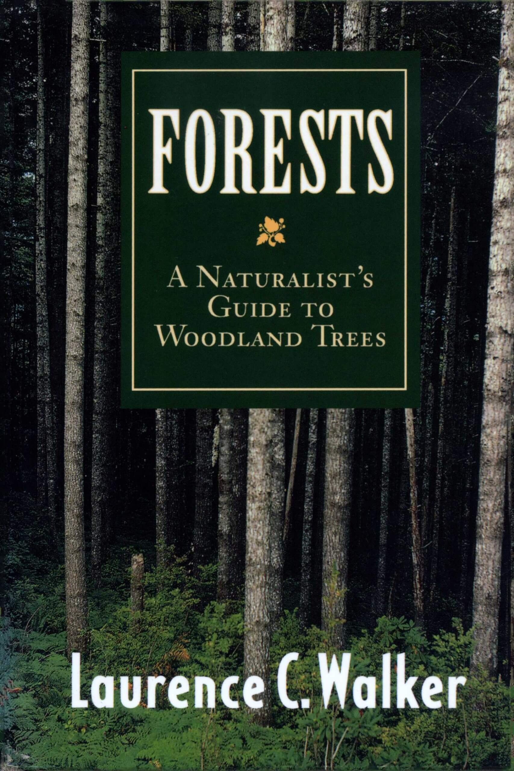 Forests: A Naturalist’s Guide to Woodland Trees used book depot