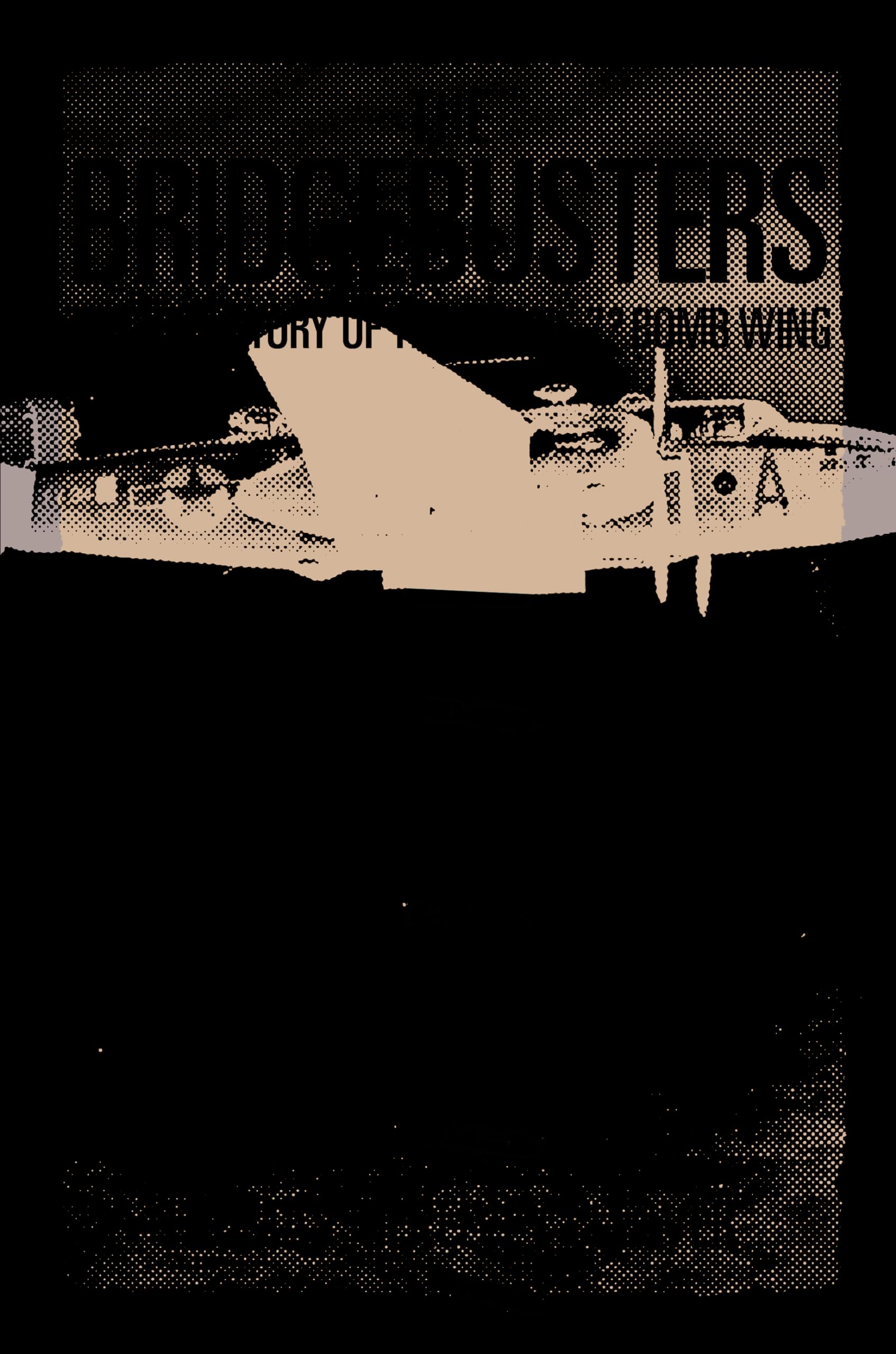 The Bridgebusters: The True Story of the Catch-22 Bomb Wing used book depot