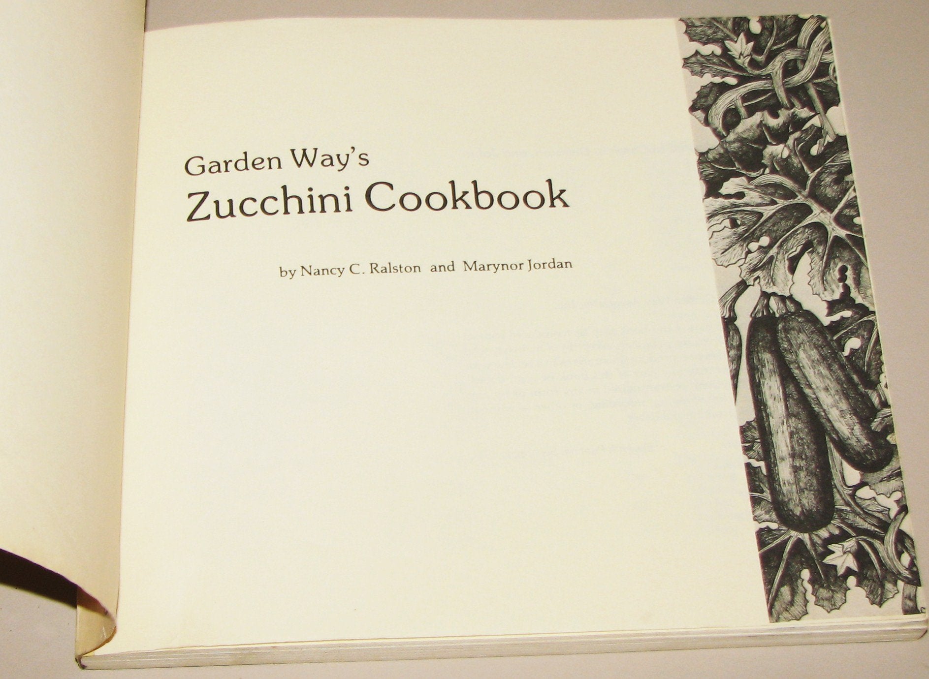Zucchini Cookbook and Other Squash used book depot
