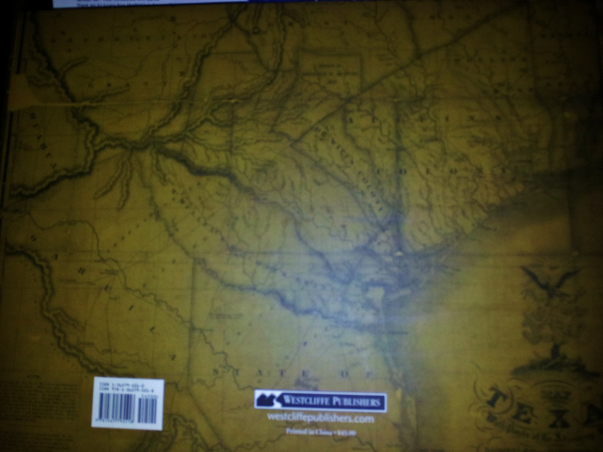 Texas Then & Now: Text And Contemporary Rephotography used book depot