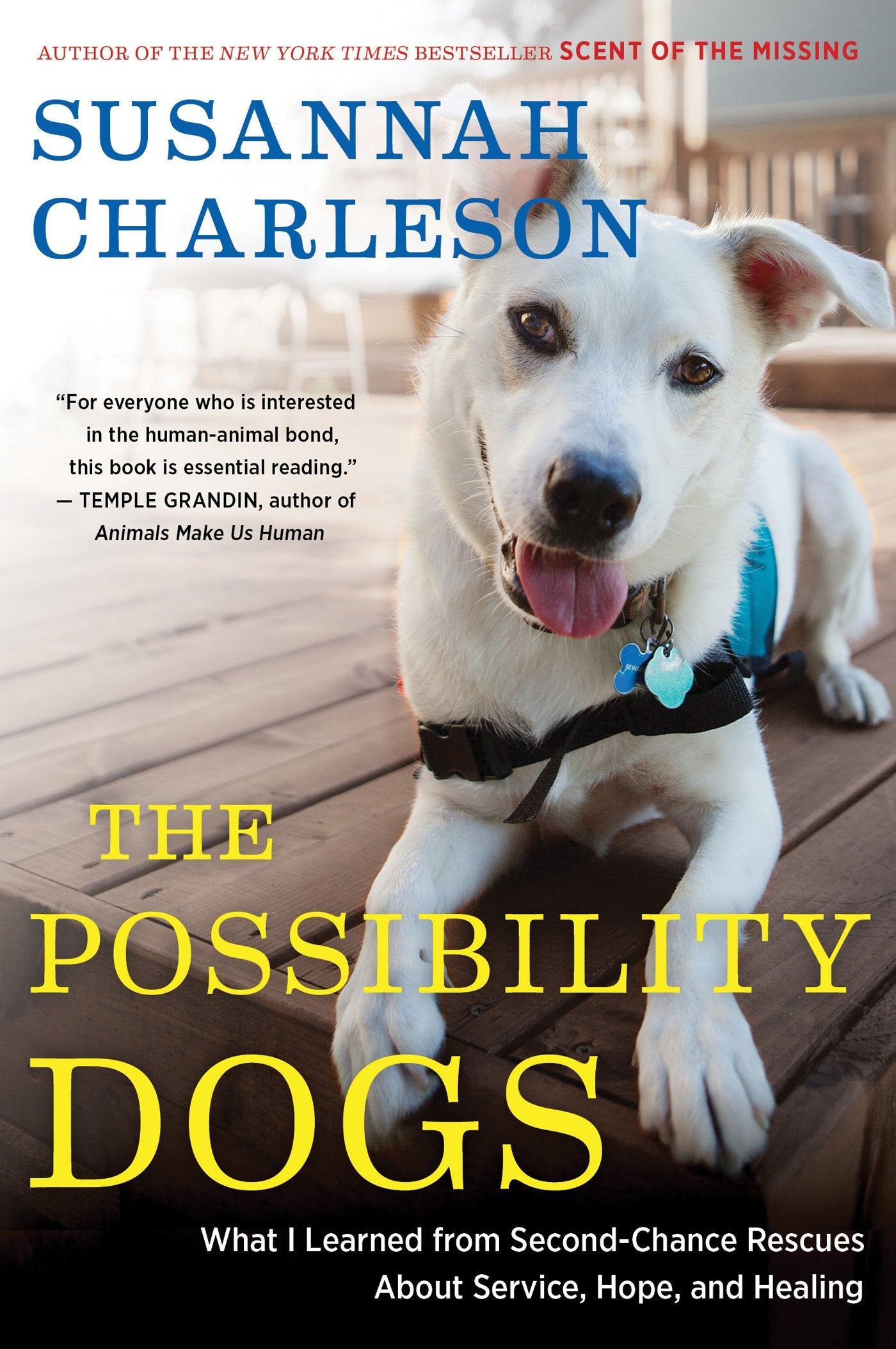 The Possibility Dogs: What a Handful of "Unadoptables" Taught Me About Service, Hope, and Healing used book depot