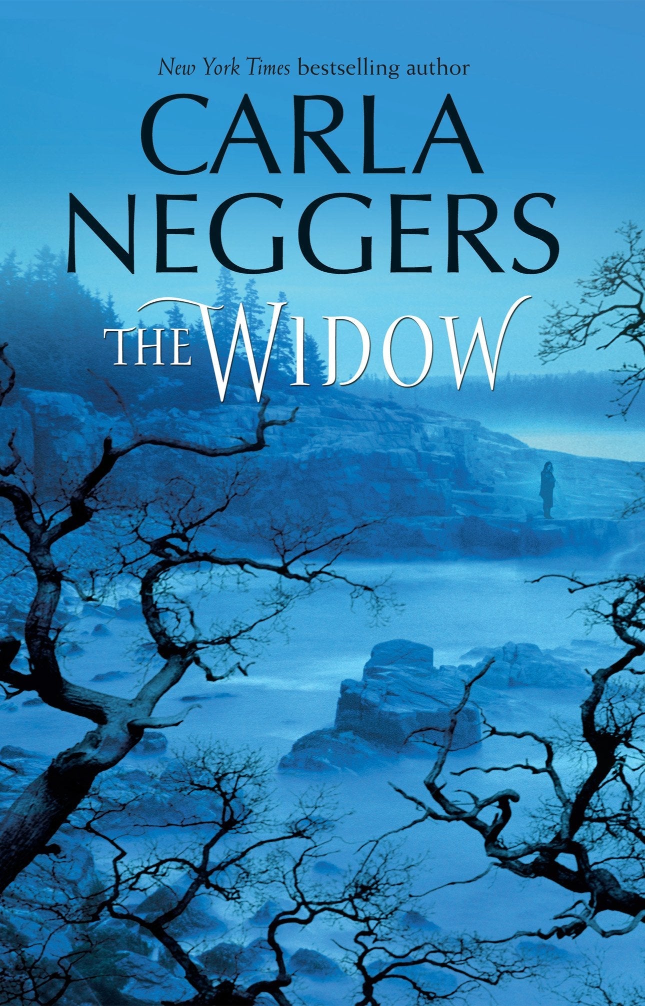 The Widow used book depot