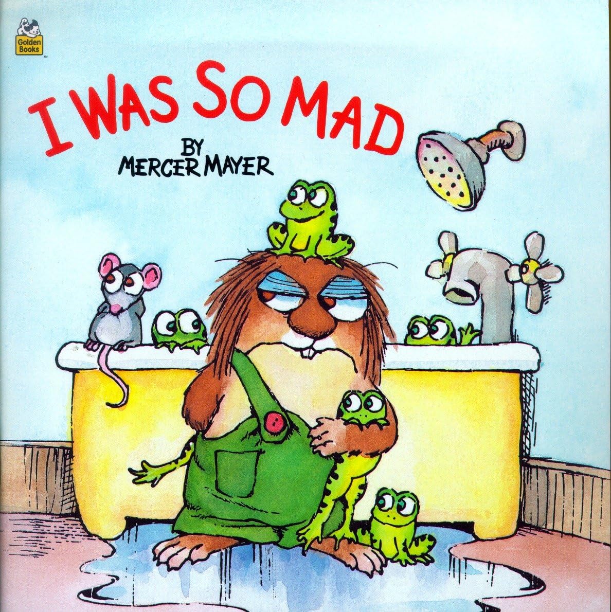 I Was So Mad (Little Critter) (Look-Look) used book depot