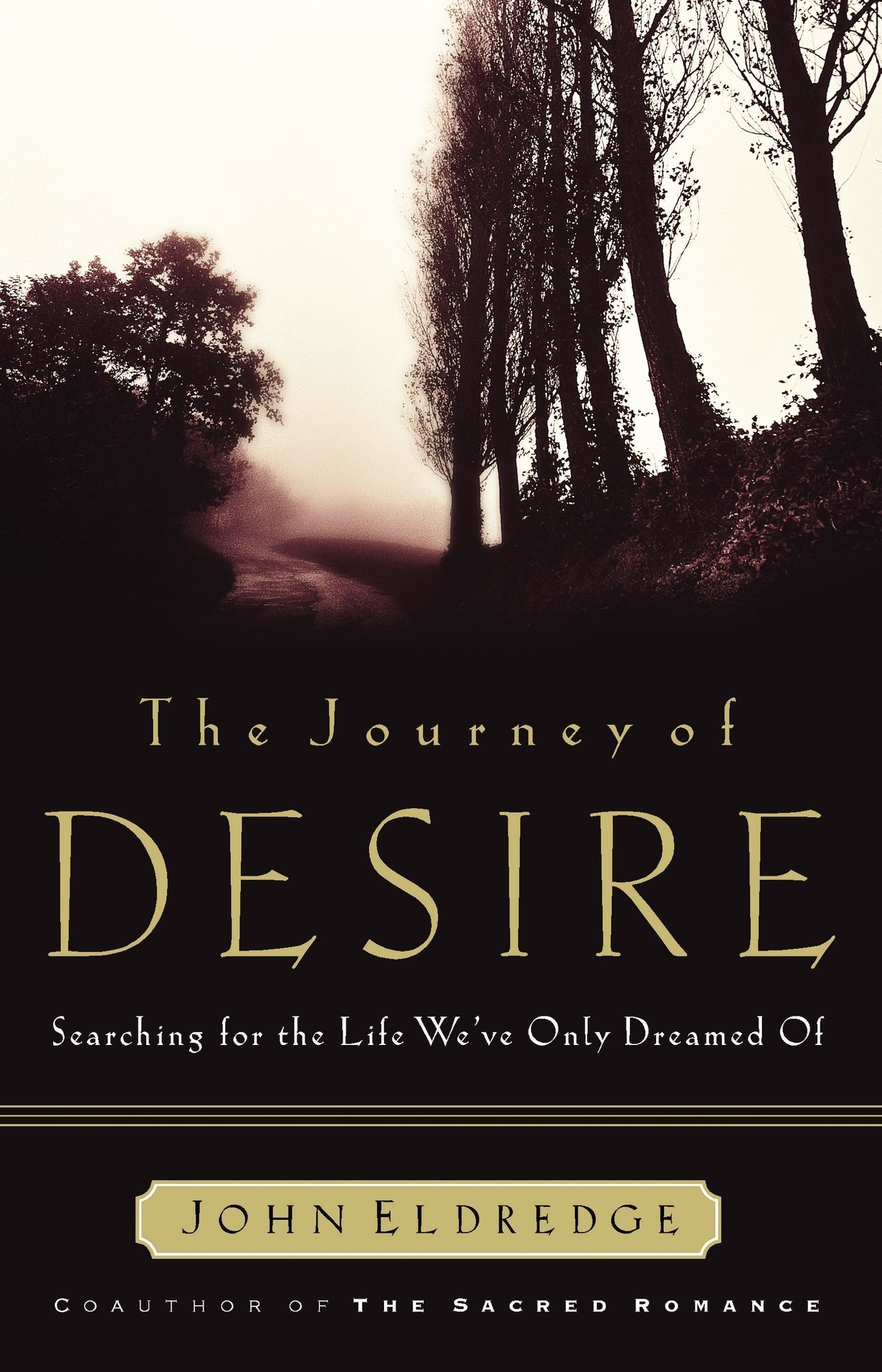 The Journey of Desire: Searching for the Life We've Only Dreamed of used book depot