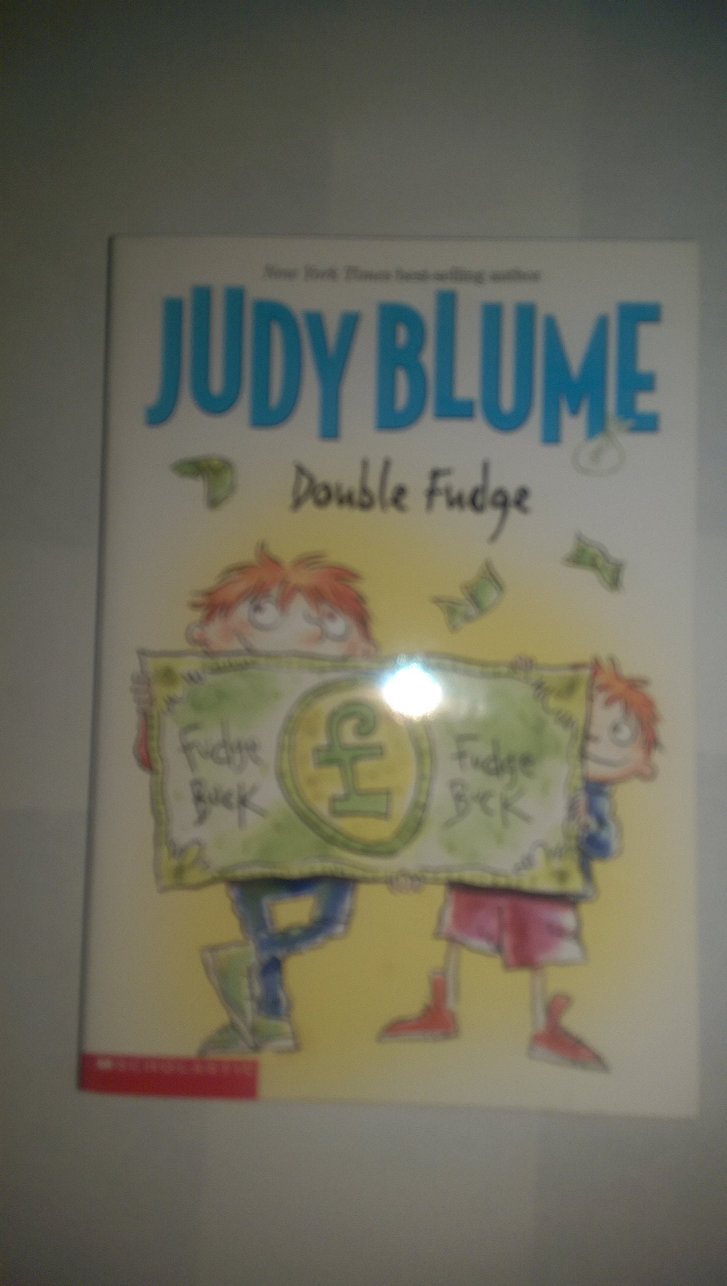 Double Fudge used book depot