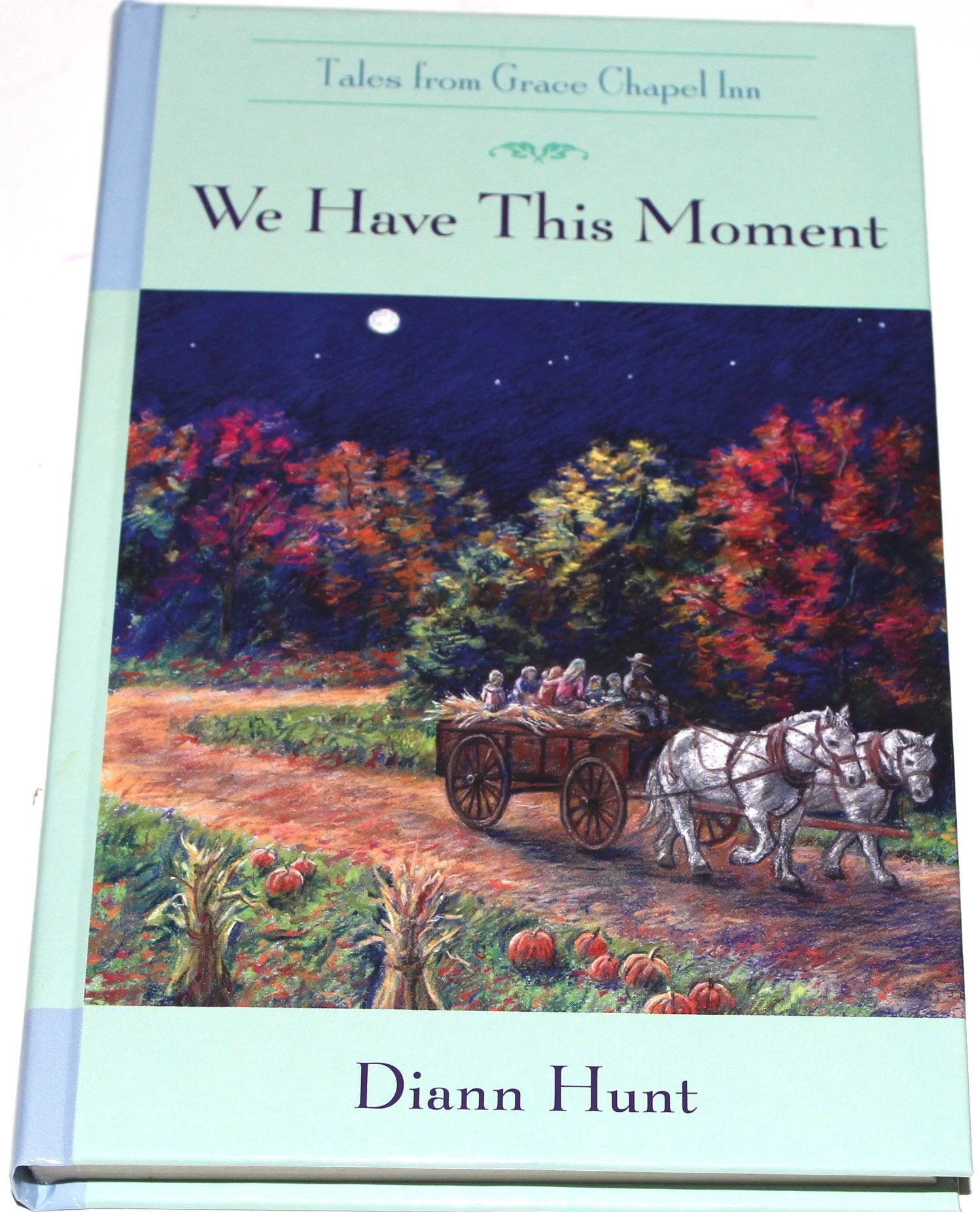 We Have This Moment (The Tales from Grace Chapel Inn Series #11) used book depot