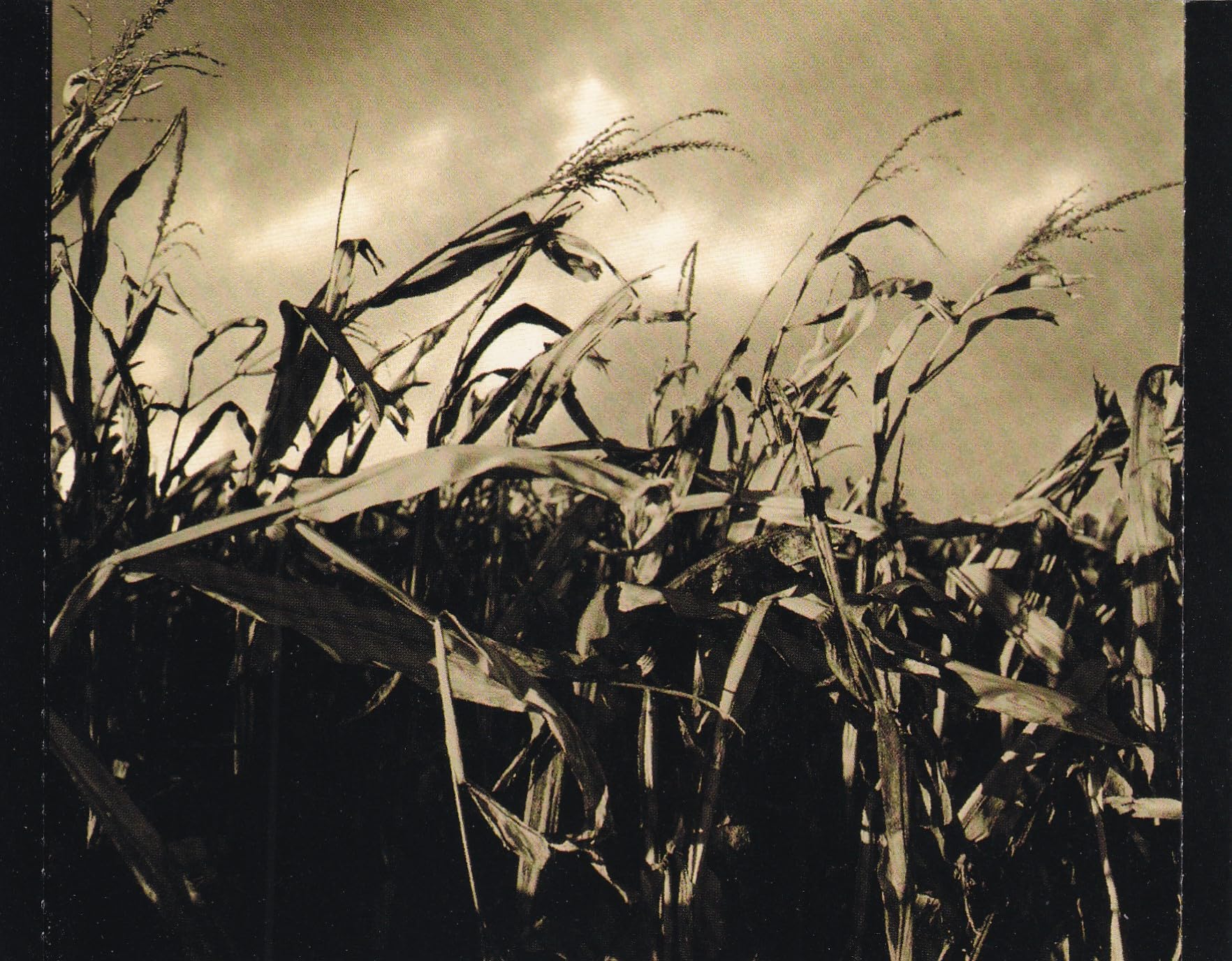 Scarecrow