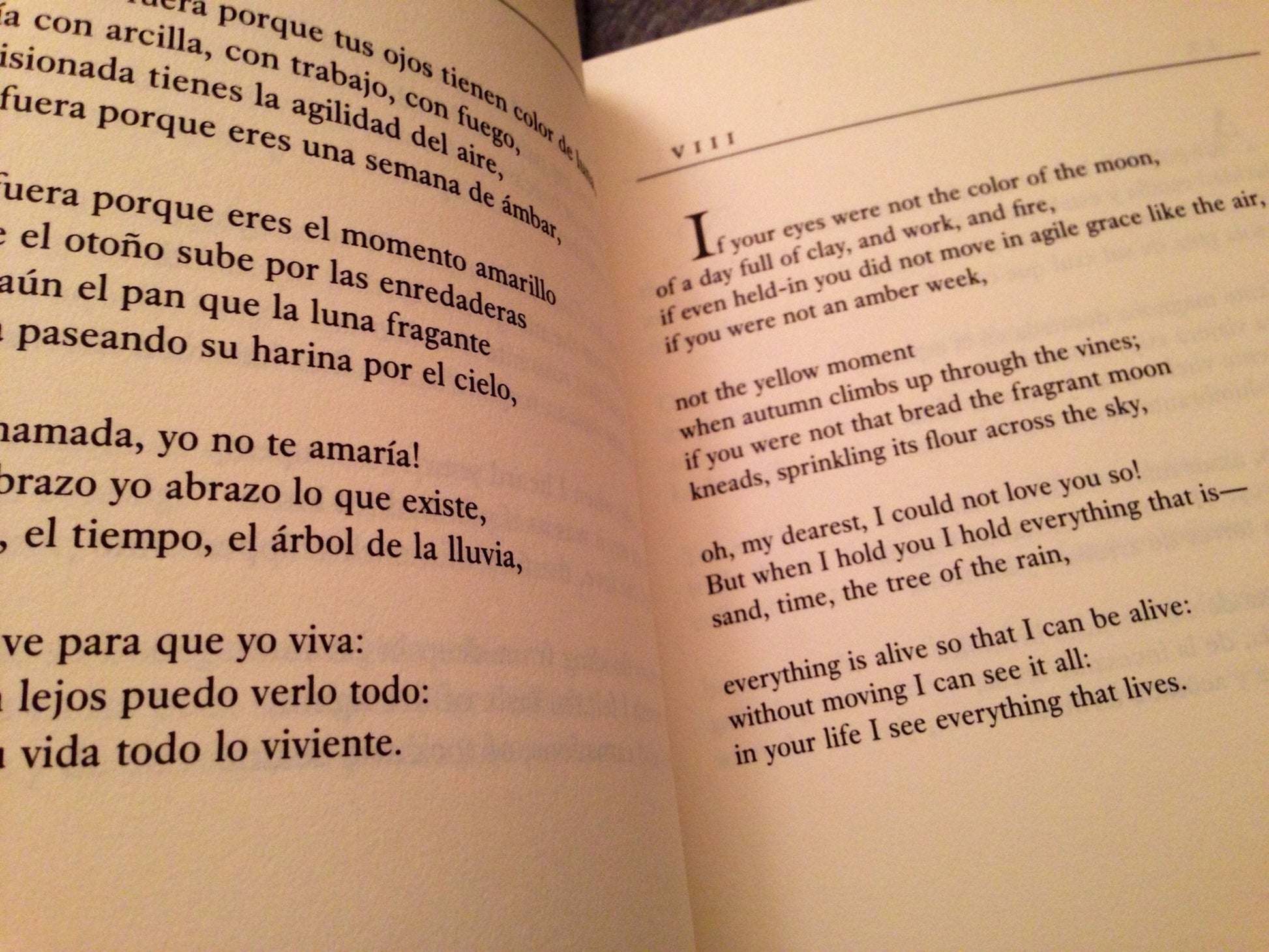 100 Love Sonnets: Cien sonetos de amor (Texas Pan American Series) (English and Spanish Edition) used book depot
