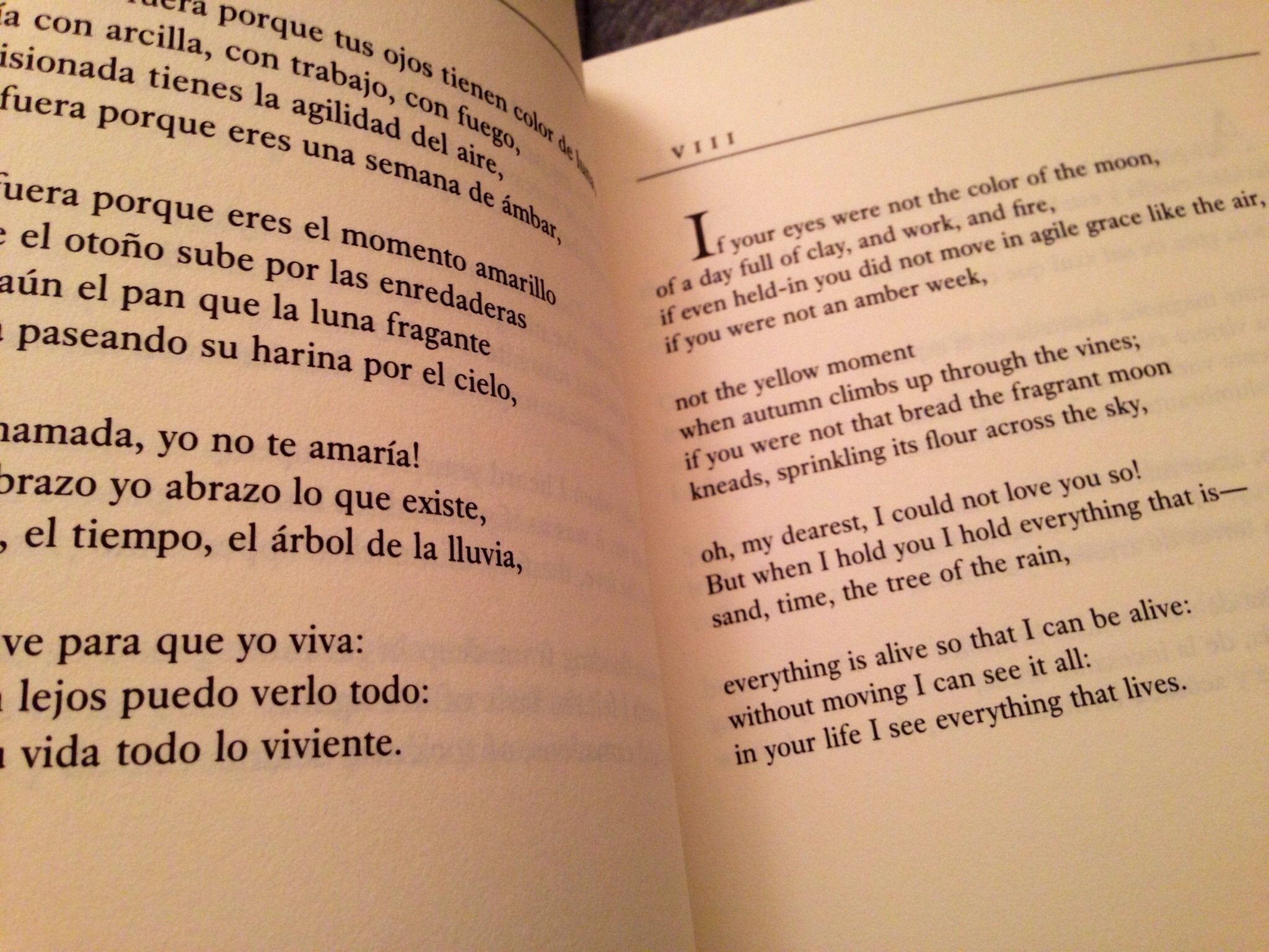 100 Love Sonnets: Cien sonetos de amor (Texas Pan American Series) (English and Spanish Edition) used book depot
