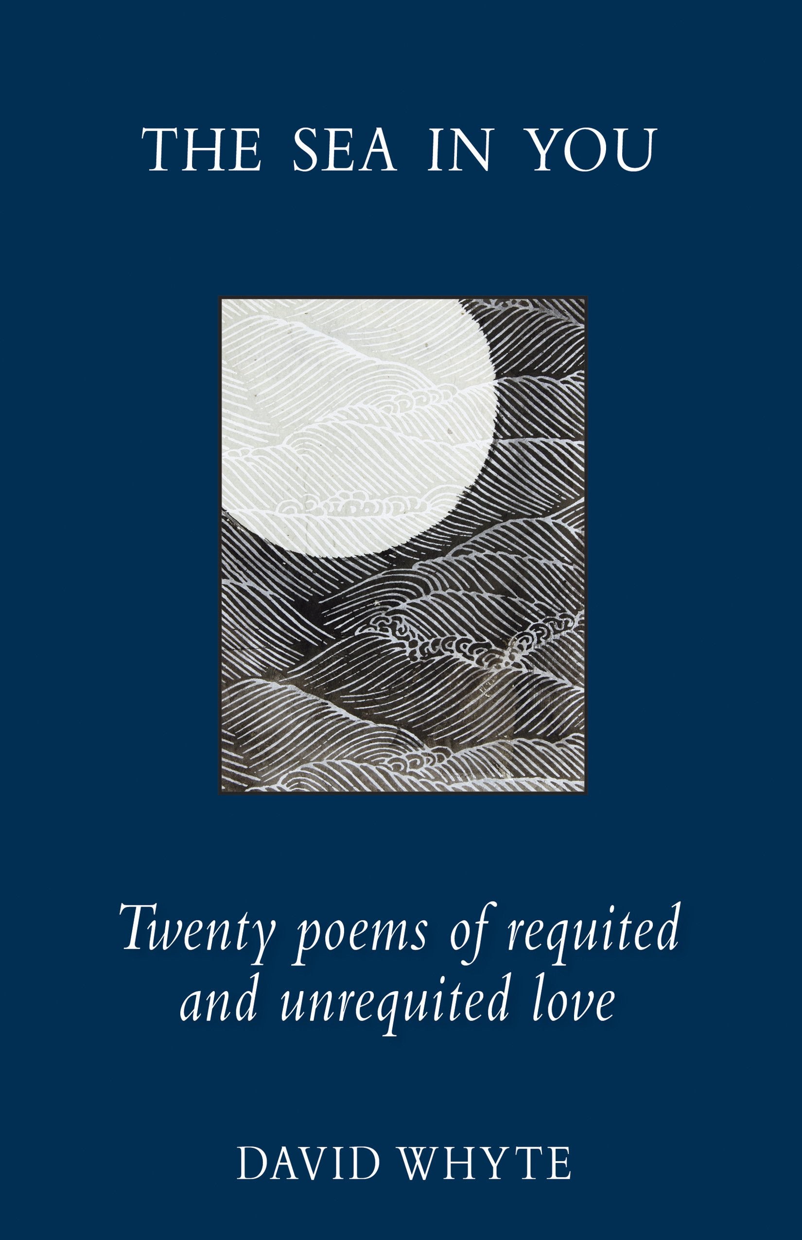 The Sea in You: Twenty Poems of Requited and Unrequited Love used book depot