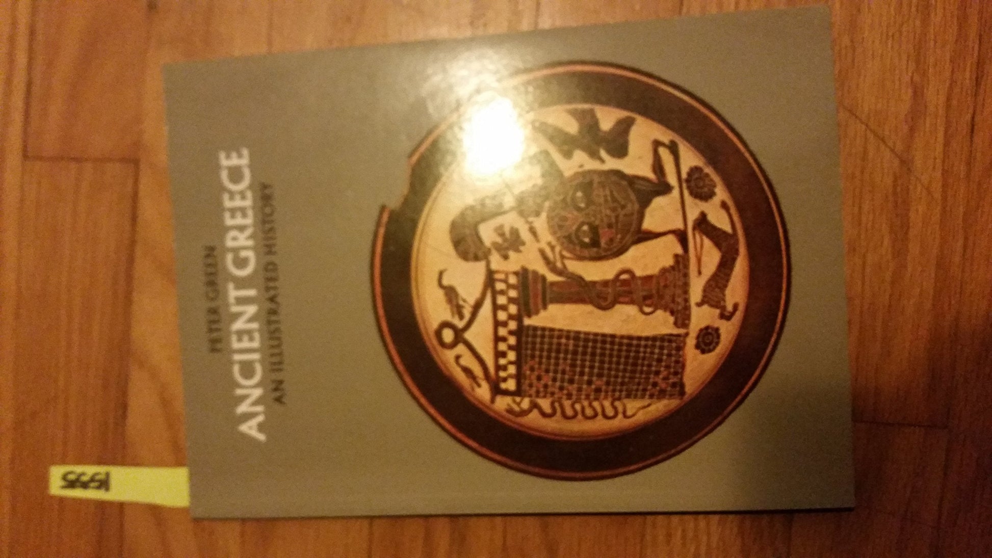 Ancient Greece: A Concise History used book depot