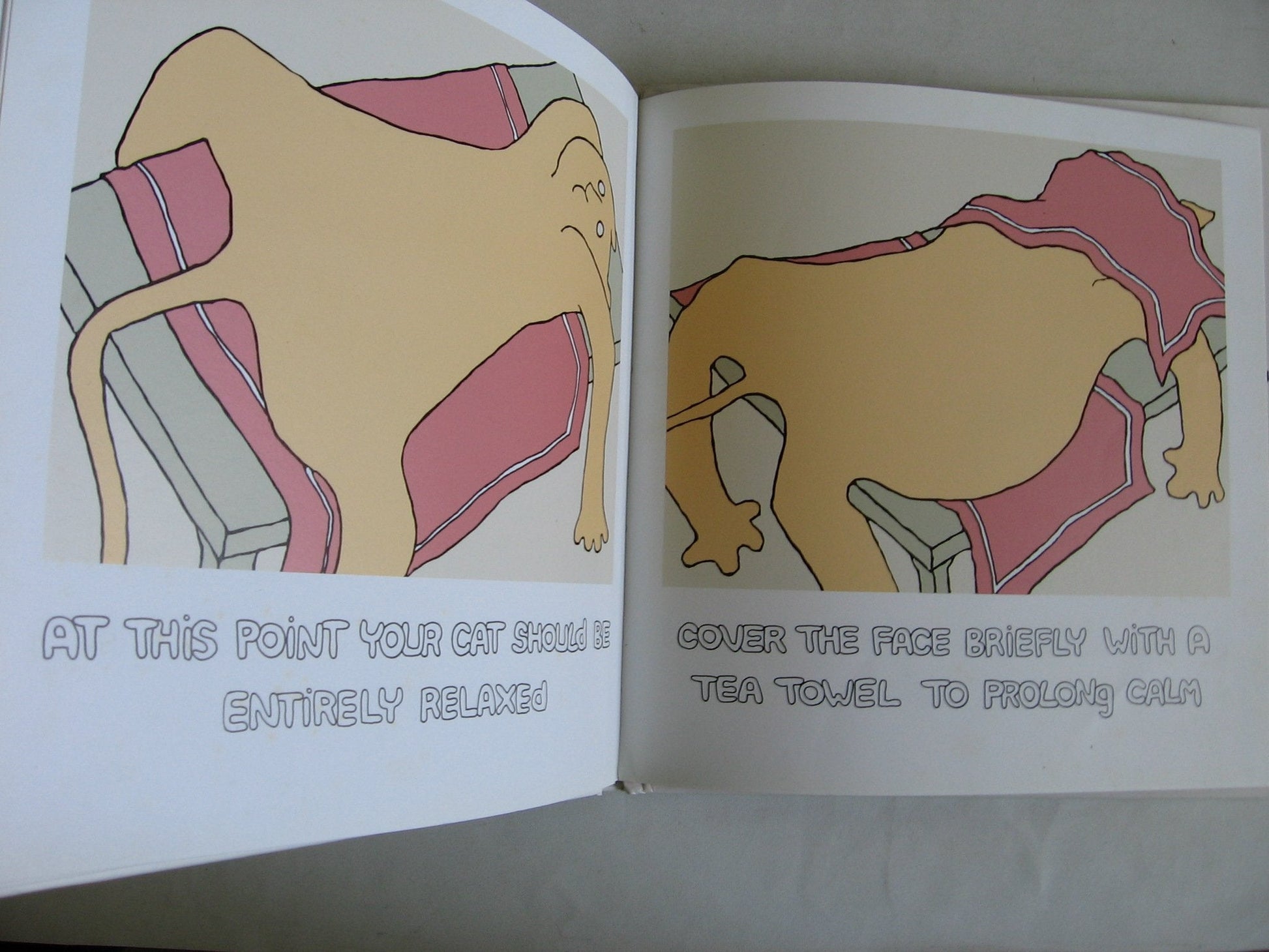 How to Massage Your Cat used book depot