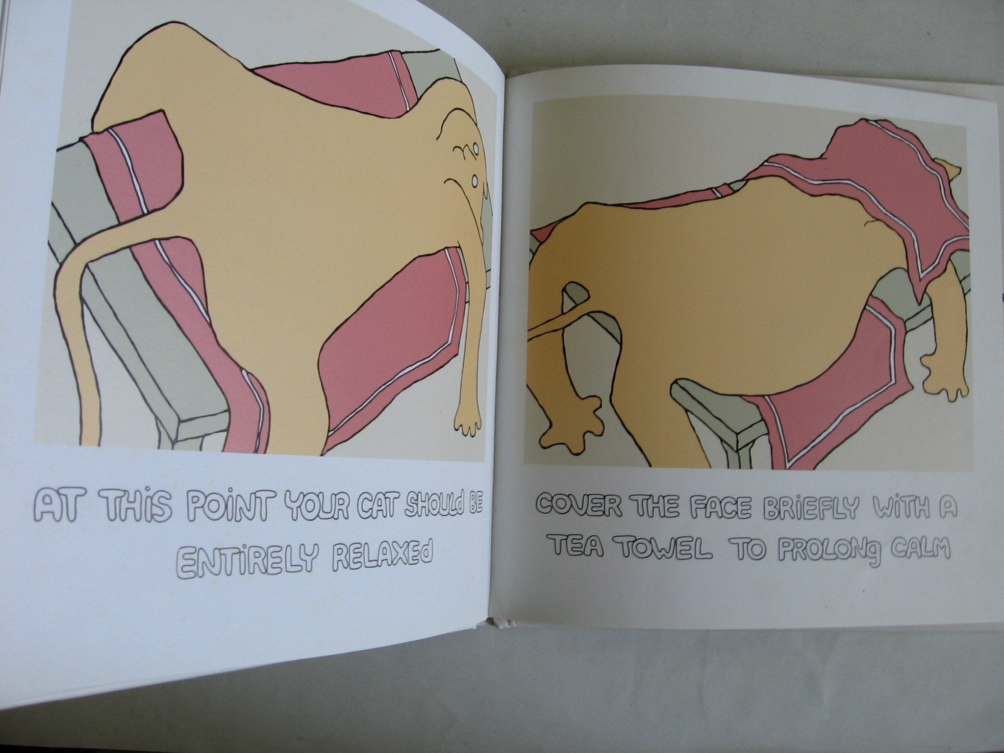 How to Massage Your Cat used book depot