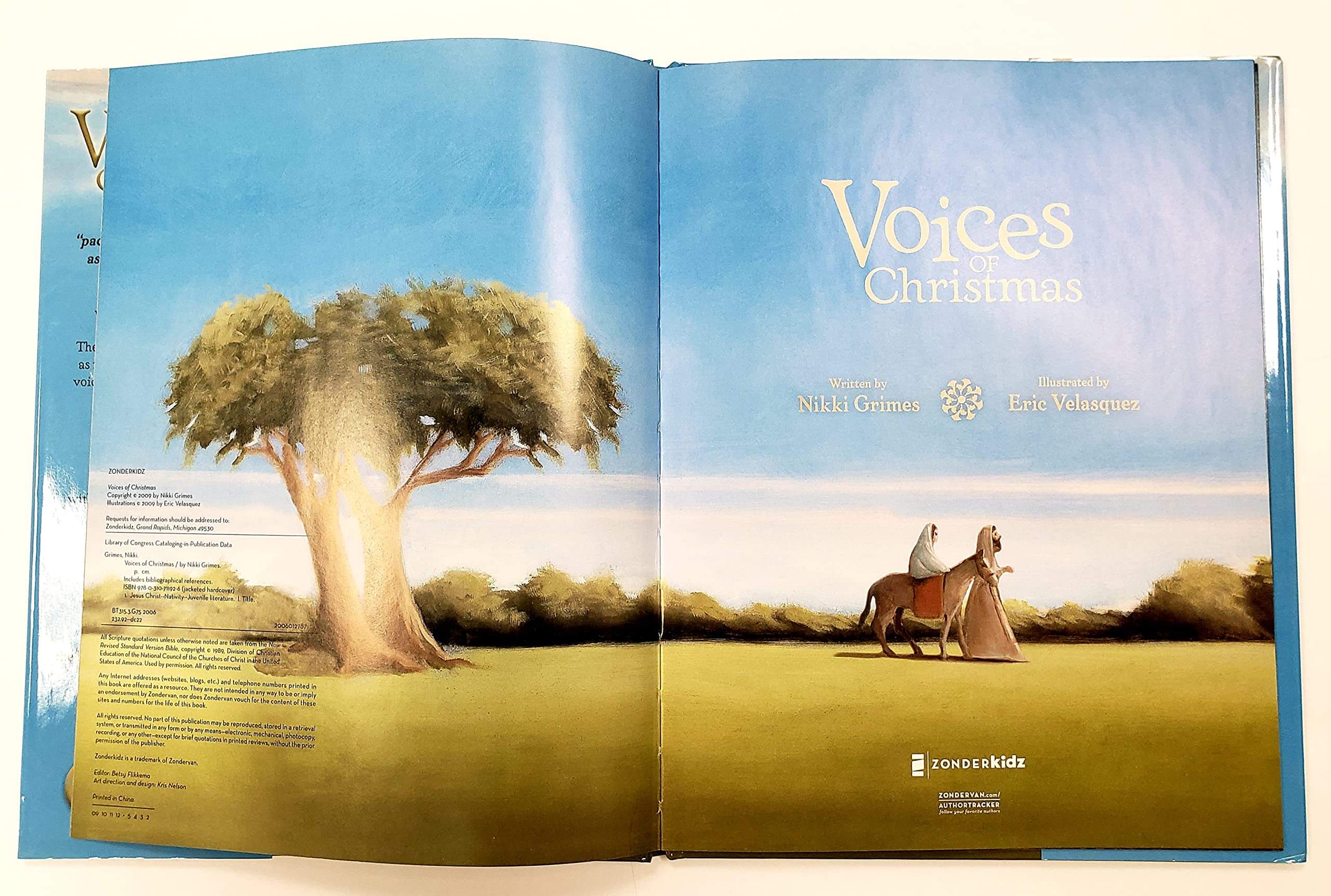 Voices of Christmas used book depot