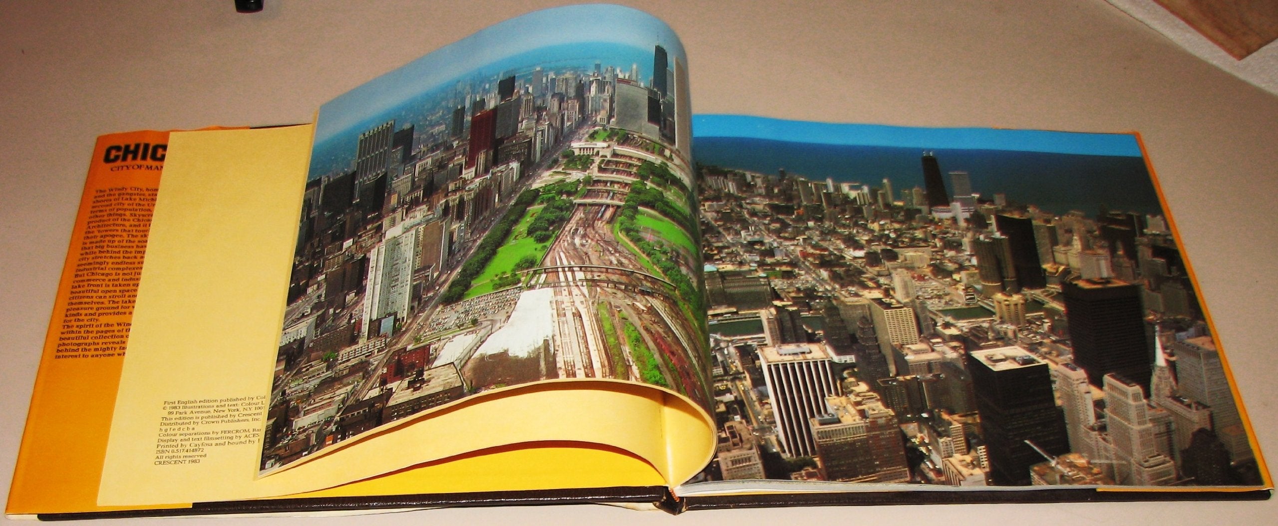 Chicago: City Of Many Dreams used book depot