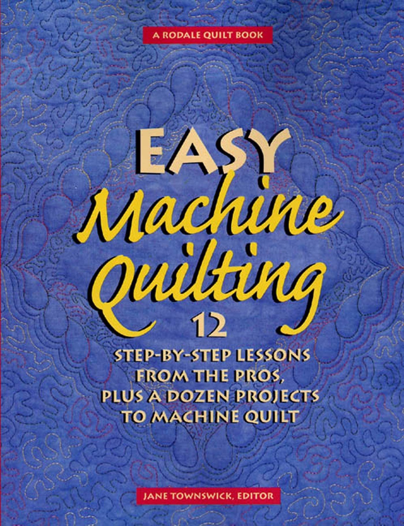 Easy Machine Quilting: 12 Step-by-Step Lessons from the Pros, Plus a Dozen Projects to Machine Quilt used book depot