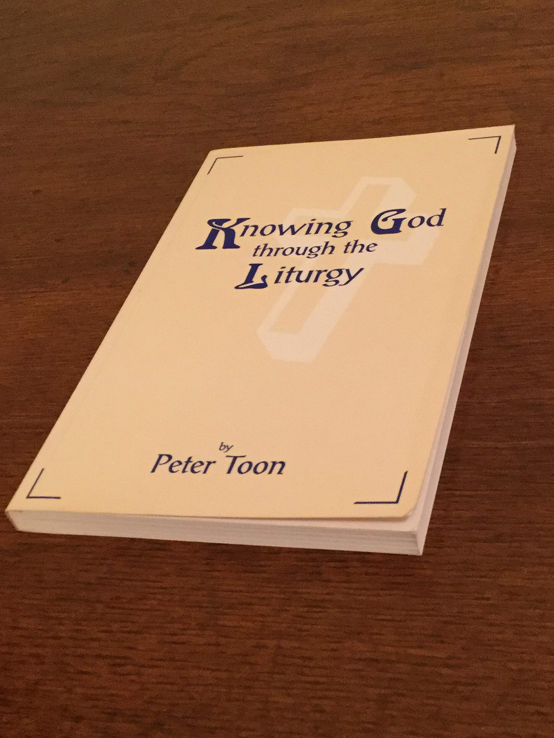 Knowing God through the Liturgy used book depot