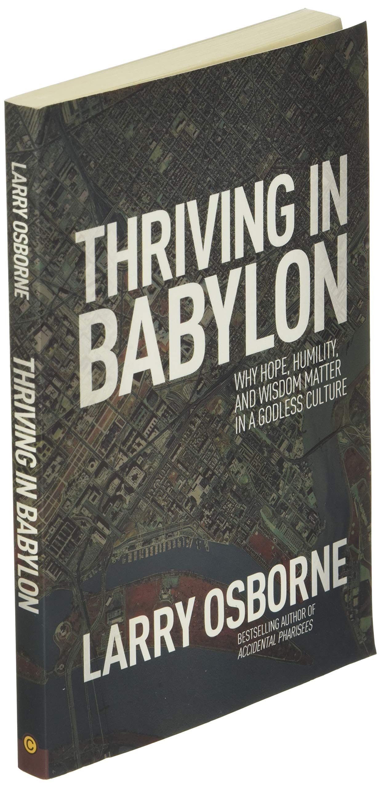 Thriving in Babylon: Why Hope, Humility, and Wisdom Matter in a Godless Culture used book depot