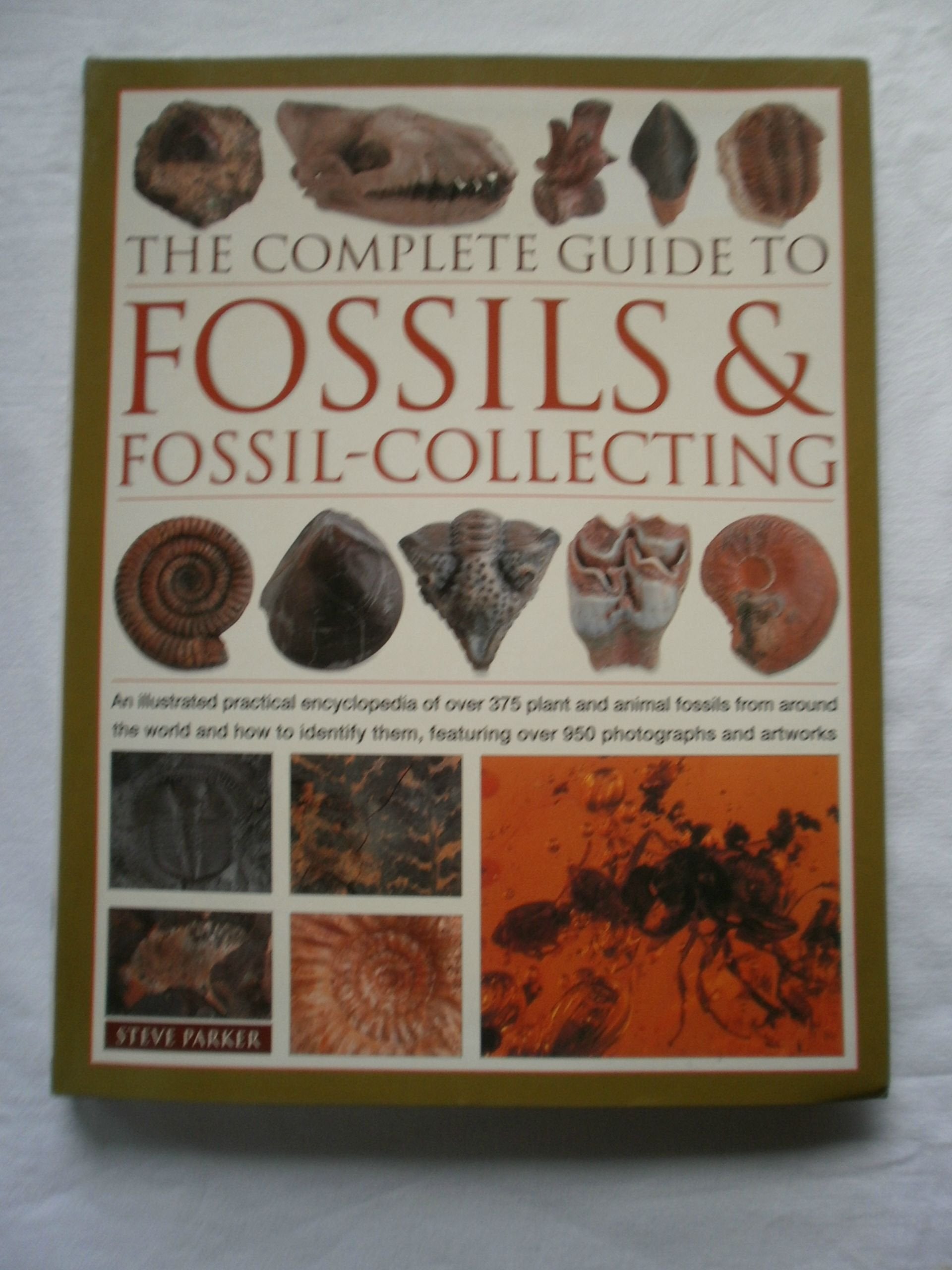 The Complete Guide to Fossils & Fossil-collecting used book depot