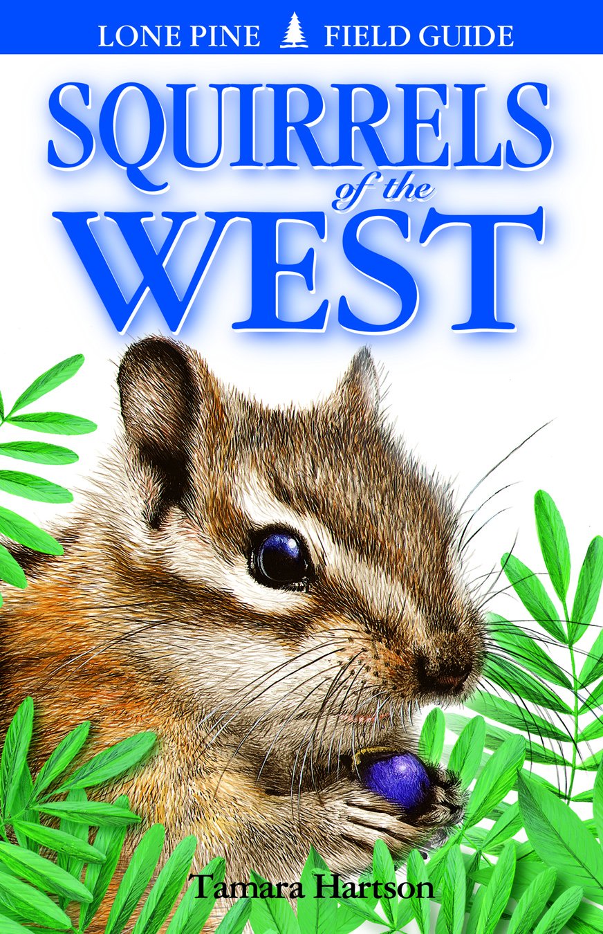 Squirrels of the West used book depot