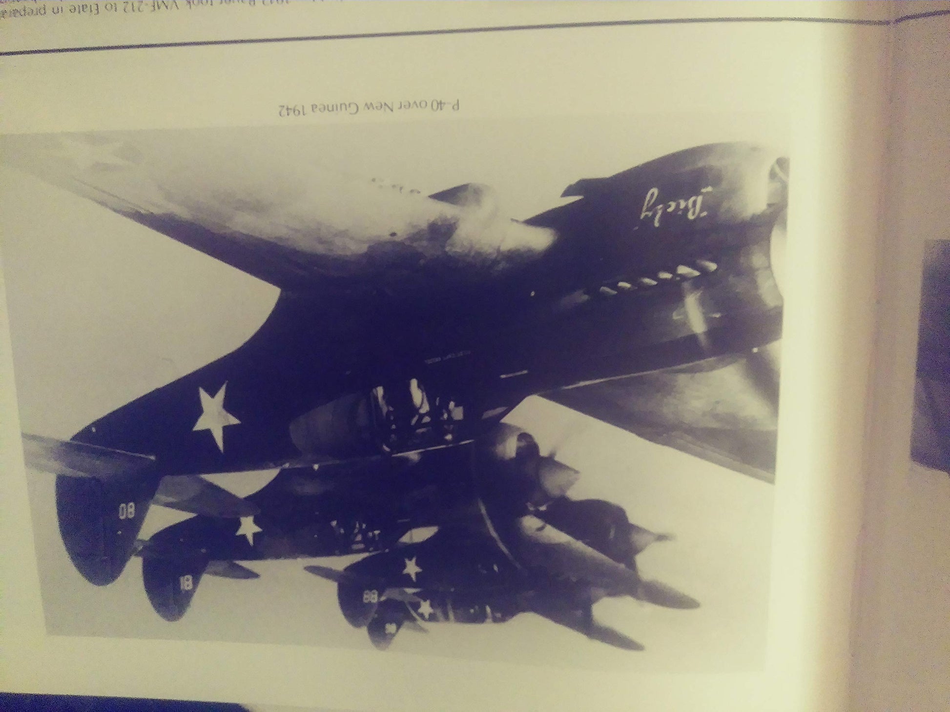 American Fighter Aces Album used book depot