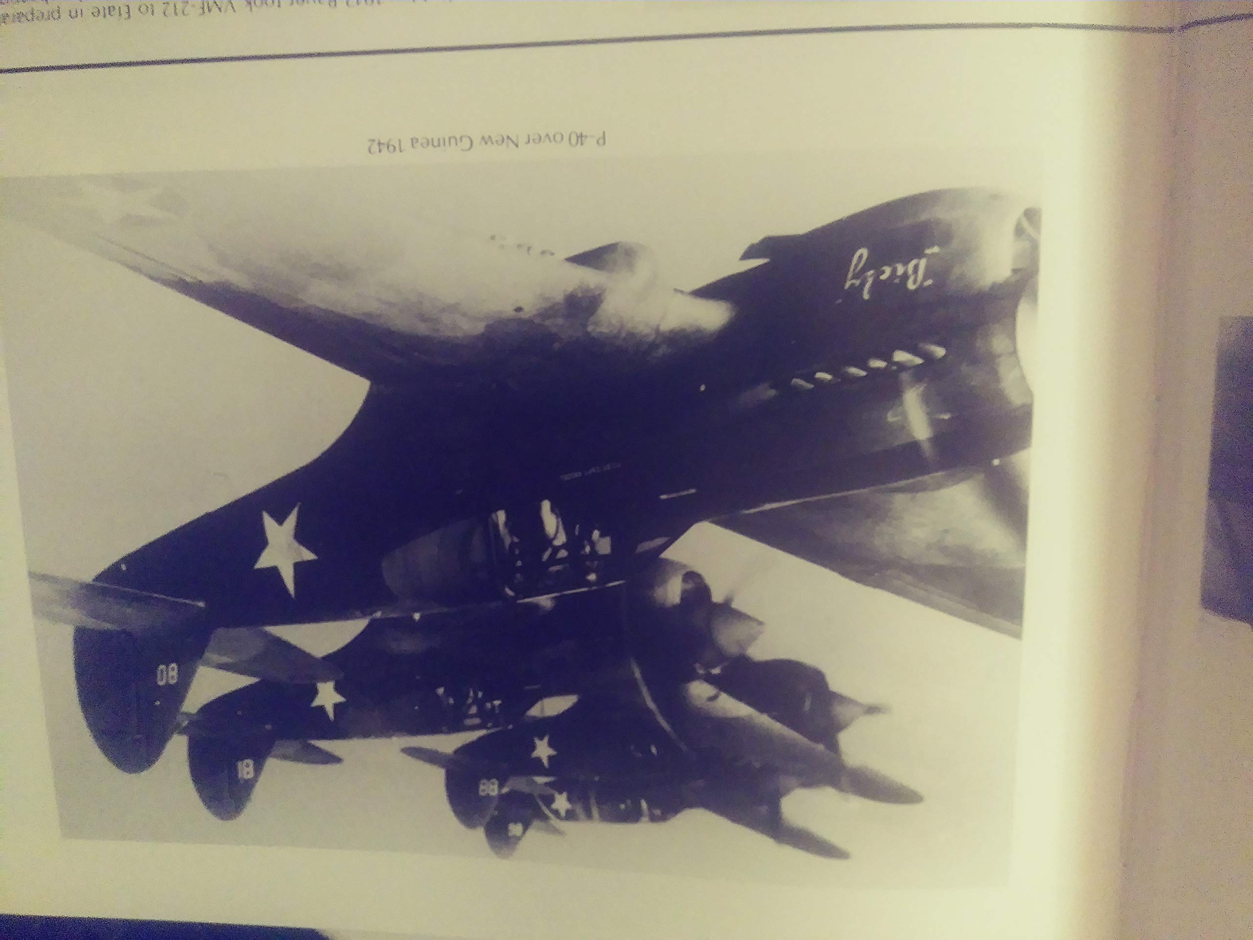 American Fighter Aces Album used book depot