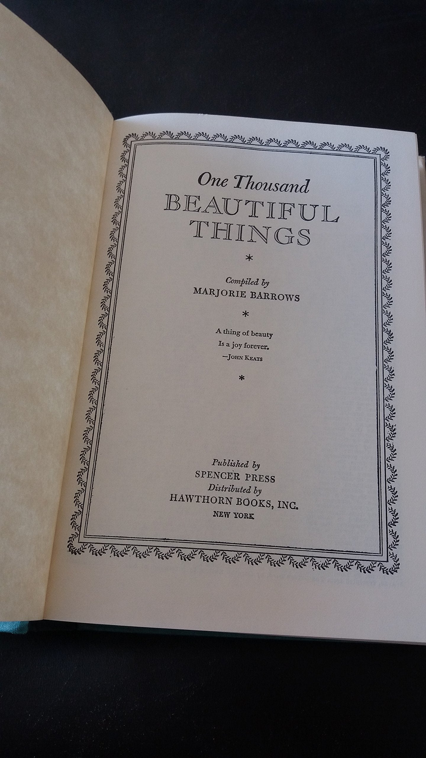 One Thousand Beautiful Things used book depot