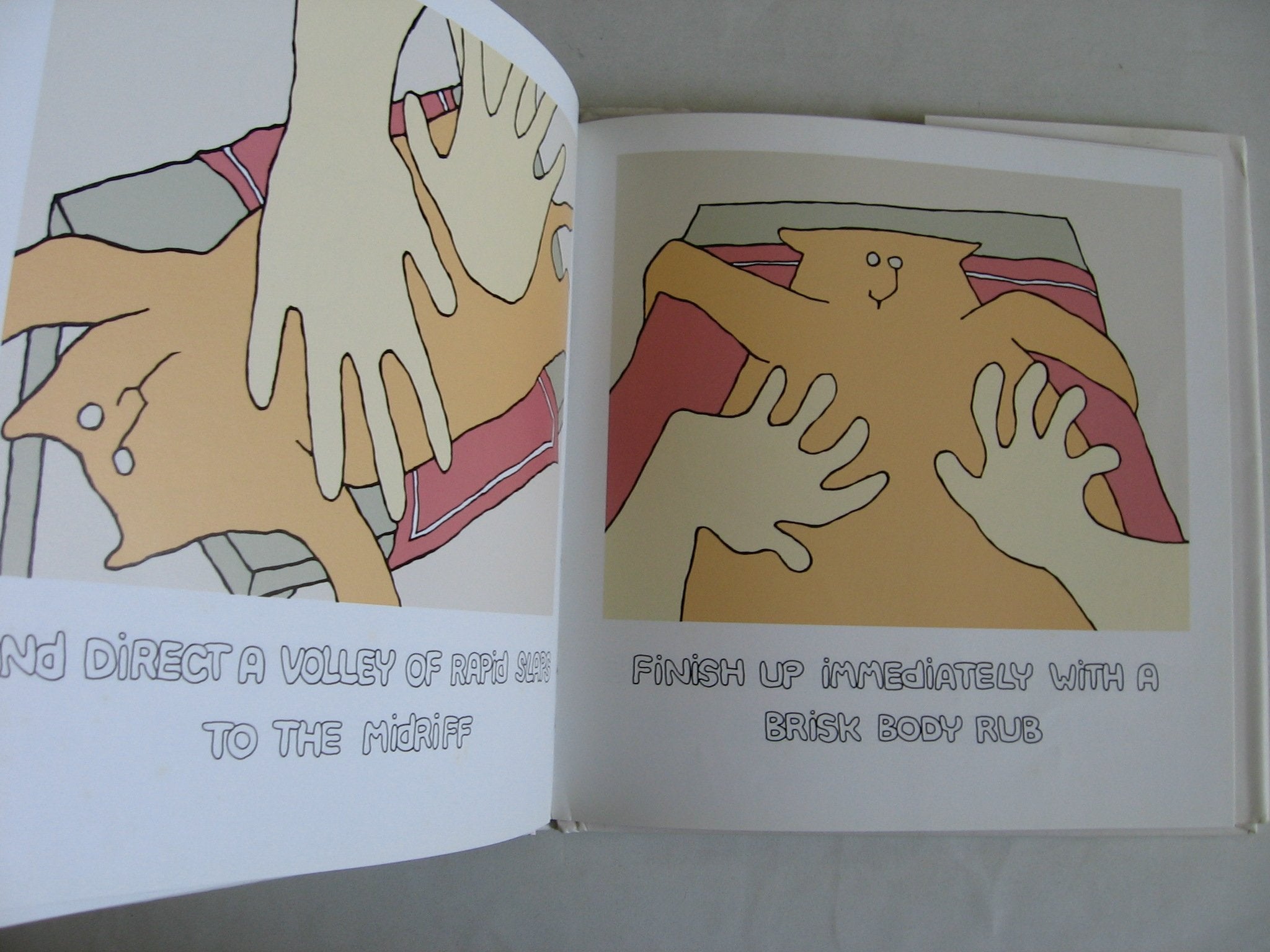 How to Massage Your Cat used book depot