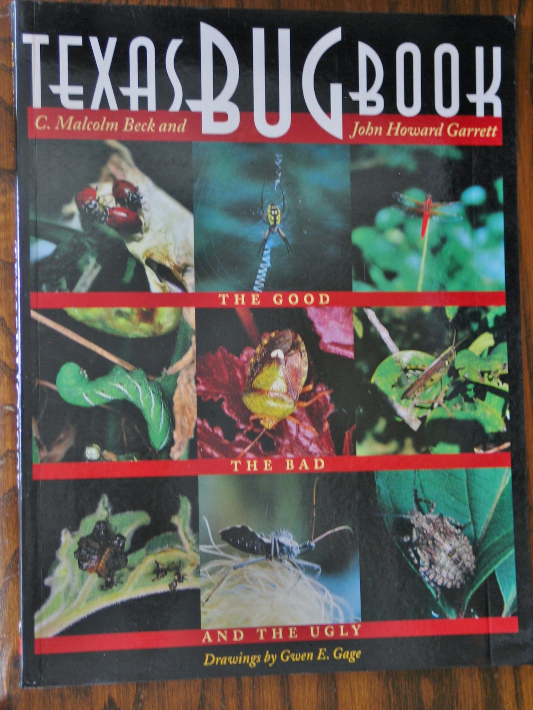 Texas Bug Book: The Good, the Bad, and the Ugly
