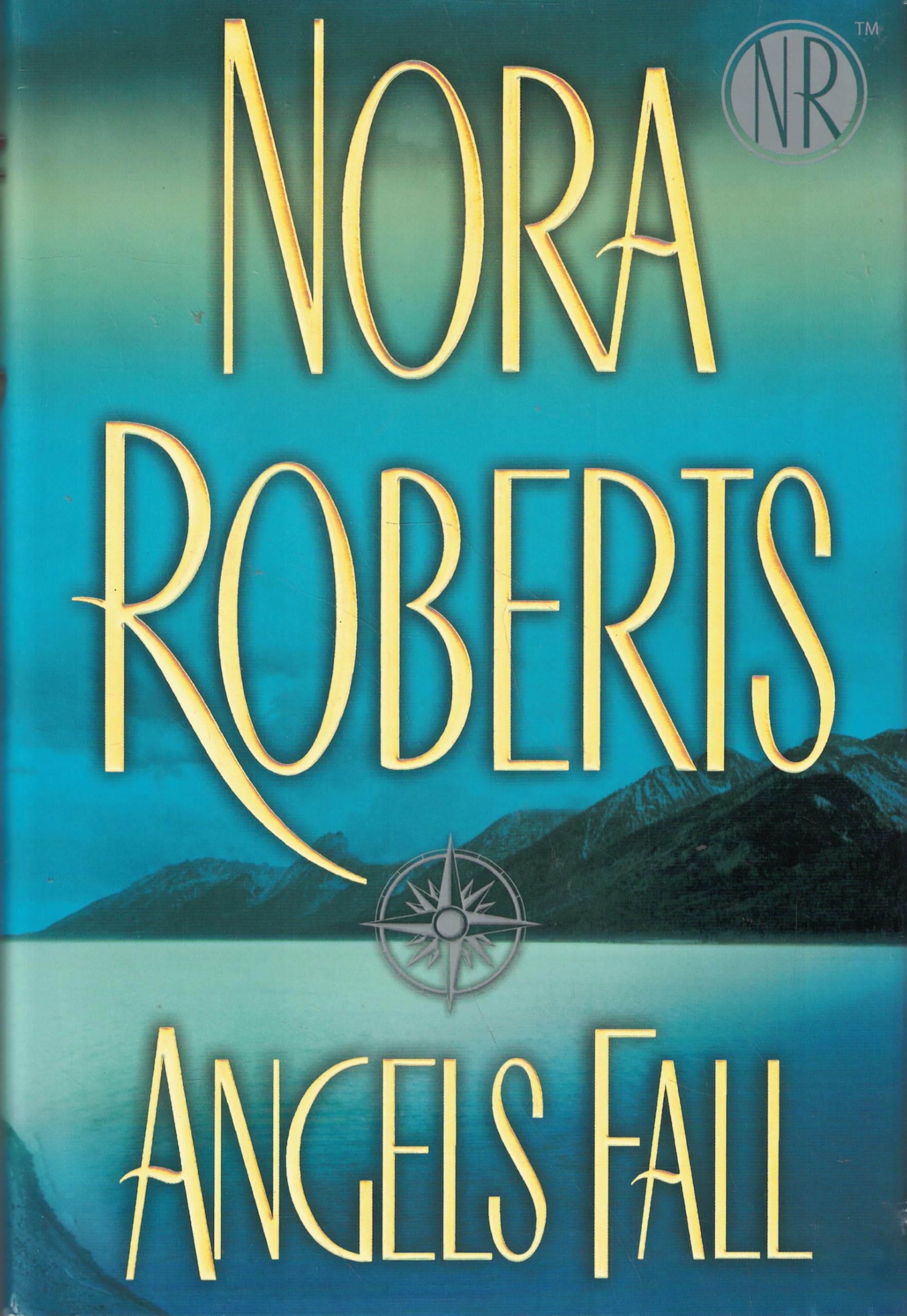 Angels Fall used book depot
