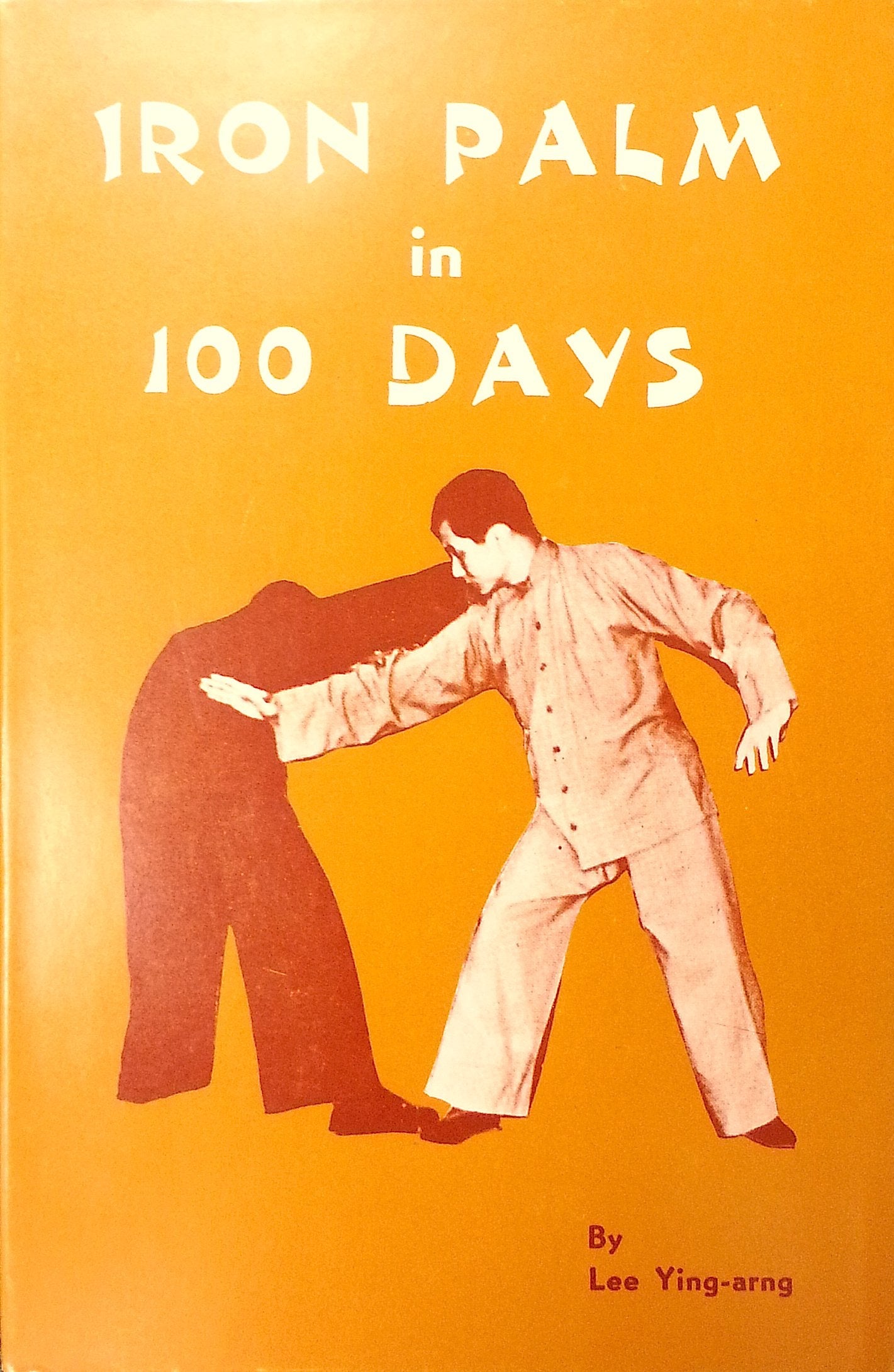 Iron Palm in 100 Days used book depot
