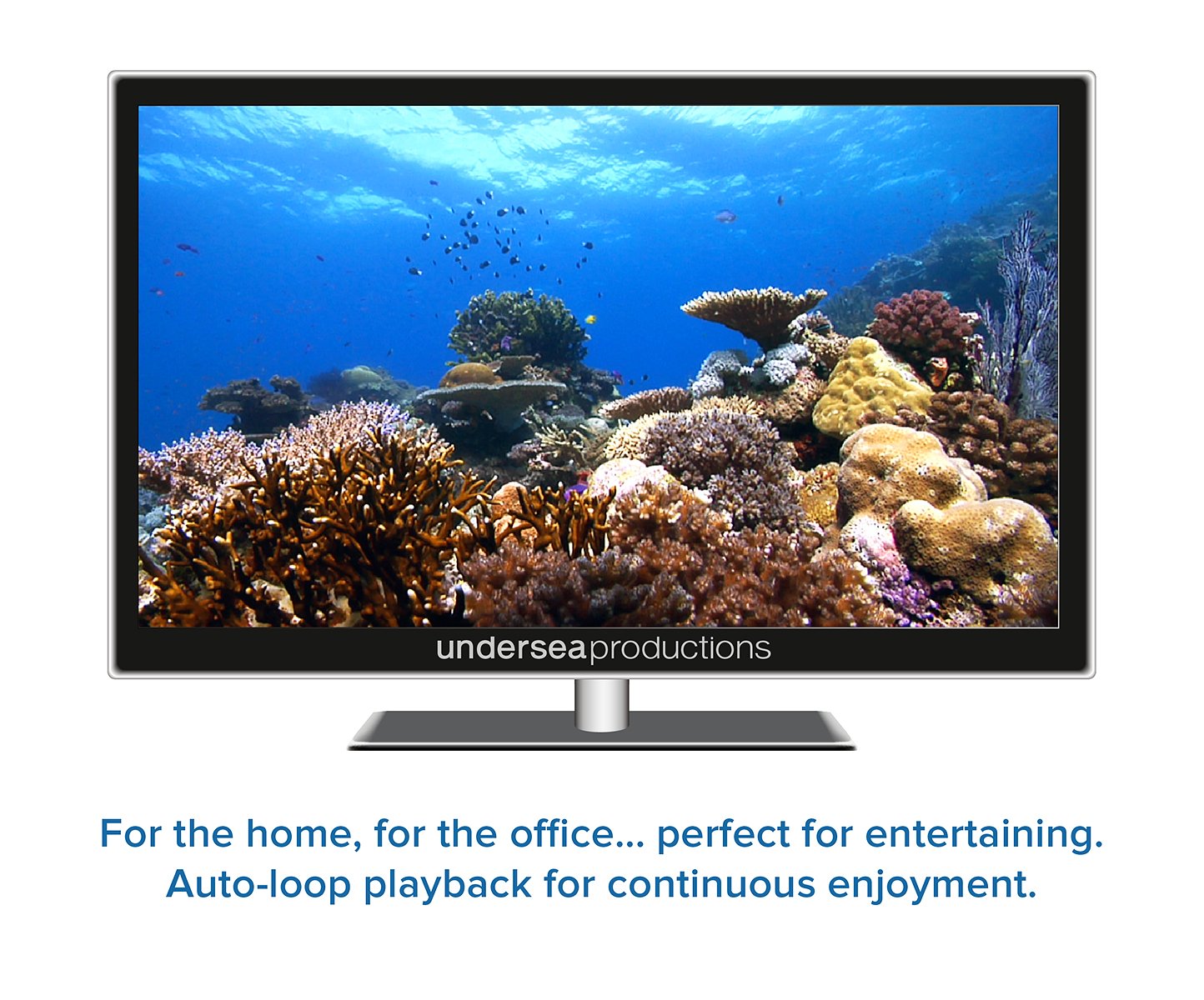 Reefscapes: Nature's Aquarium DVD, nature video of tropical fish and coral reefs filmed in the ocean, for relaxation and ambience used book depot